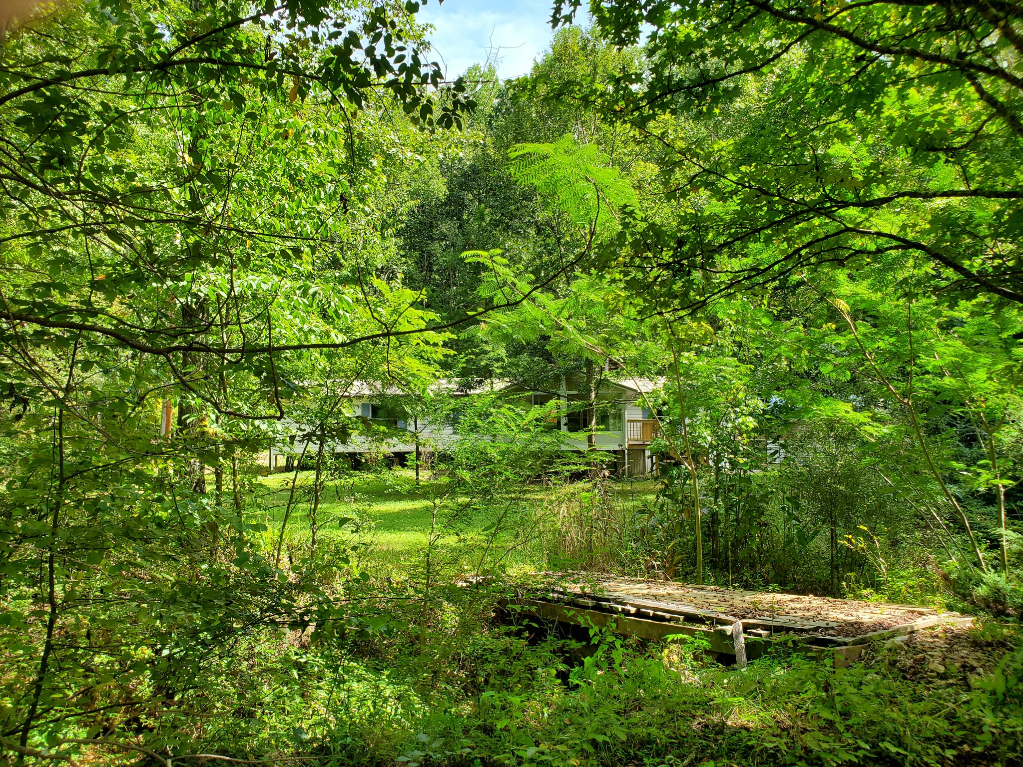 290 Bob Cat Road Linden, TN 37096 - Photo 31 of 49 Gallery Image 31