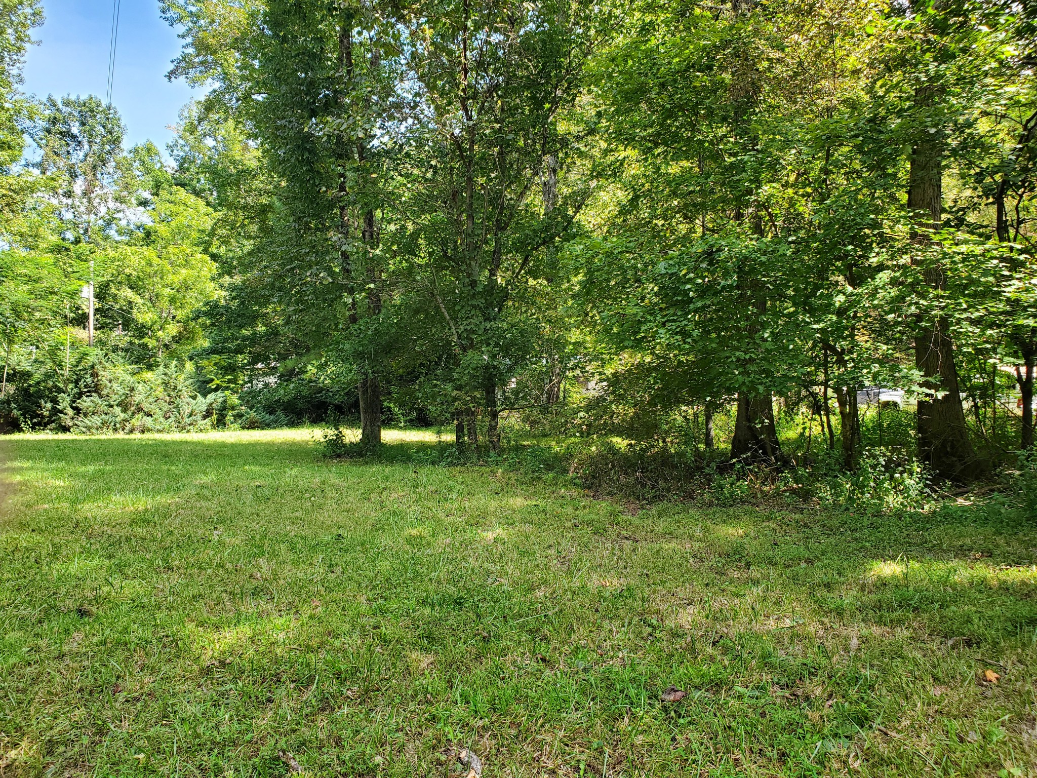 290 Bob Cat Road Linden, TN 37096 - Photo 33 of 49 Gallery Image 33