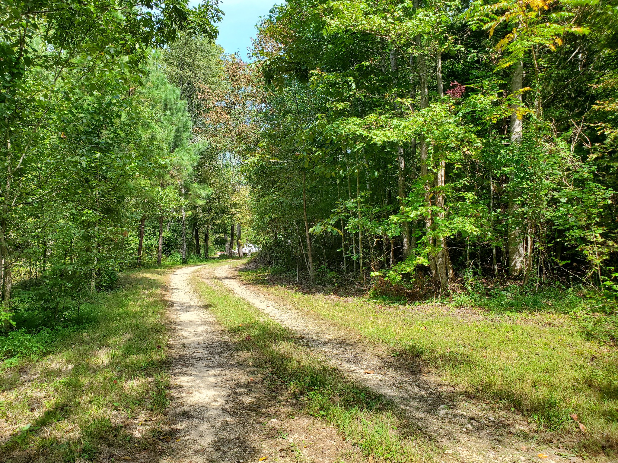 290 Bob Cat Road Linden, TN 37096 - Photo 35 of 49 Gallery Image 35