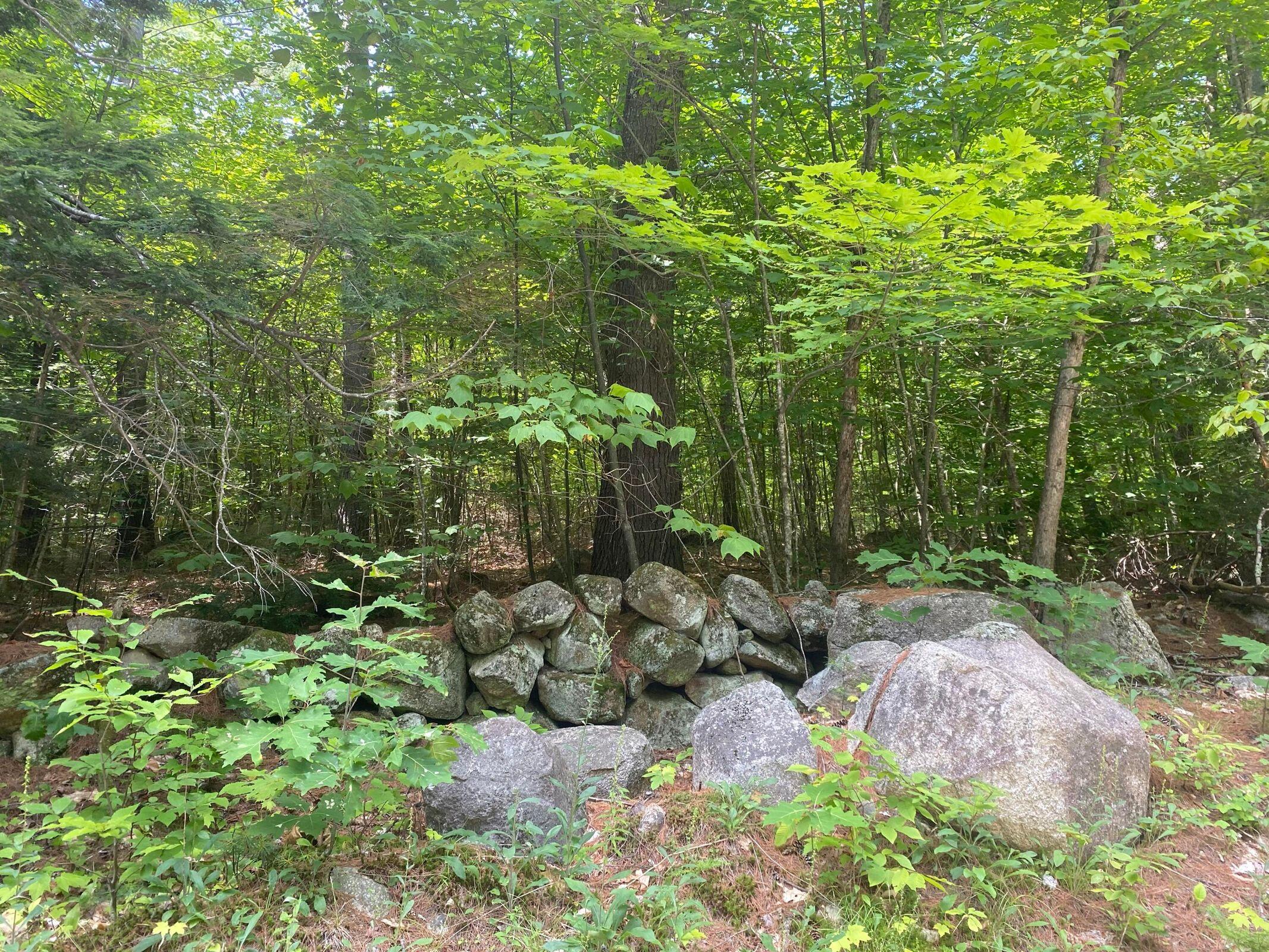 0 Mountain Road Denmark, ME 04022 - Photo 24 of 36 Photo 24