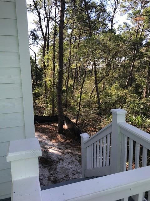 33 Cam Cove Inlet Beach Inlet Beach, FL 32461 - Photo 4 of 44