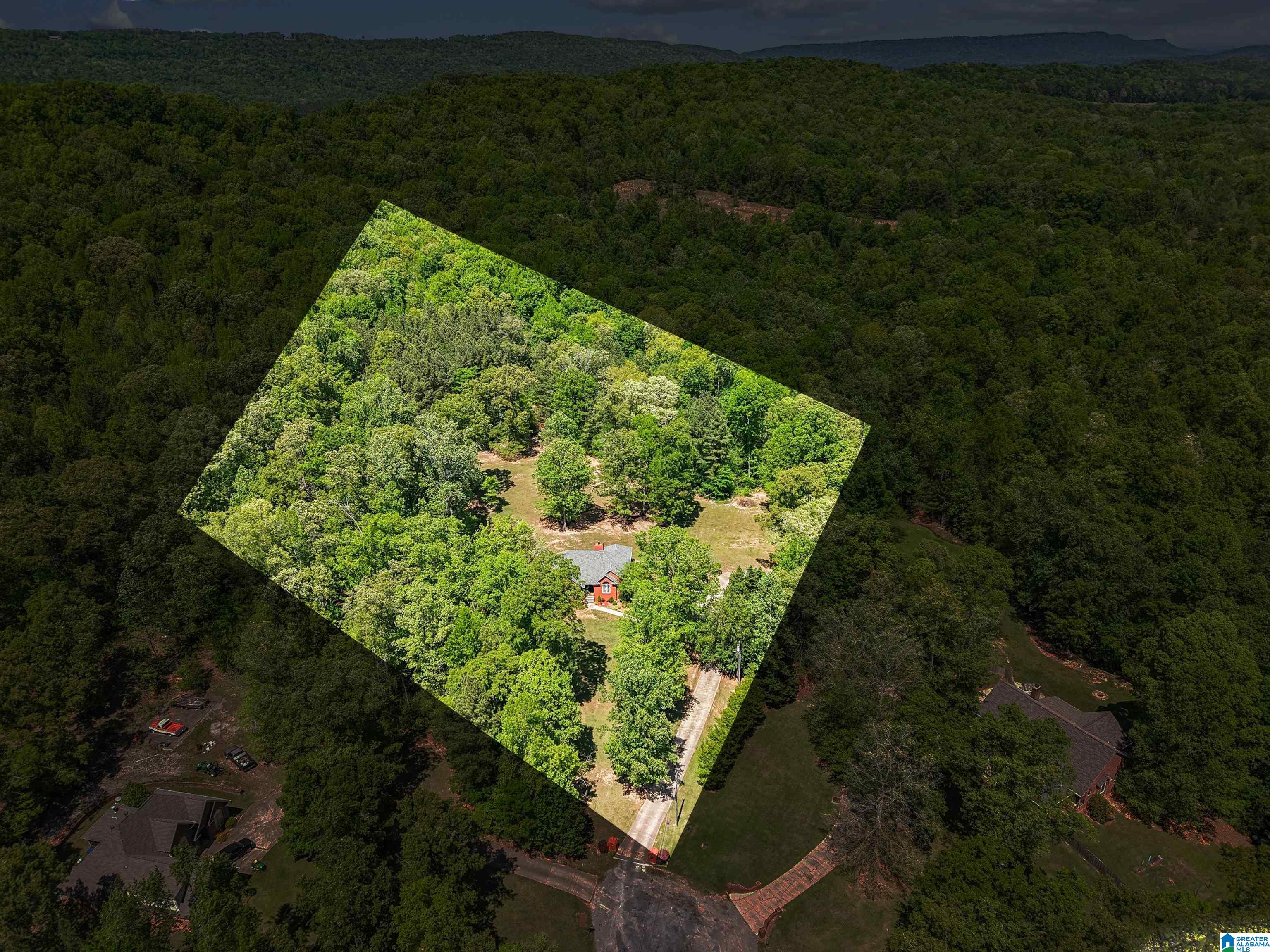 706 Oak Valley Road Springville, AL 35146 - Photo 4 of 55