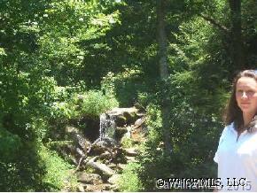 296 Long Branch Road Canton, NC 28716 - Photo 11 of 12