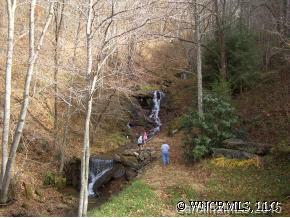 296 Long Branch Road Canton, NC 28716 - Photo 6 of 12