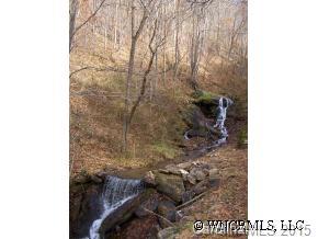 296 Long Branch Road Canton, NC 28716 - Photo 10 of 12