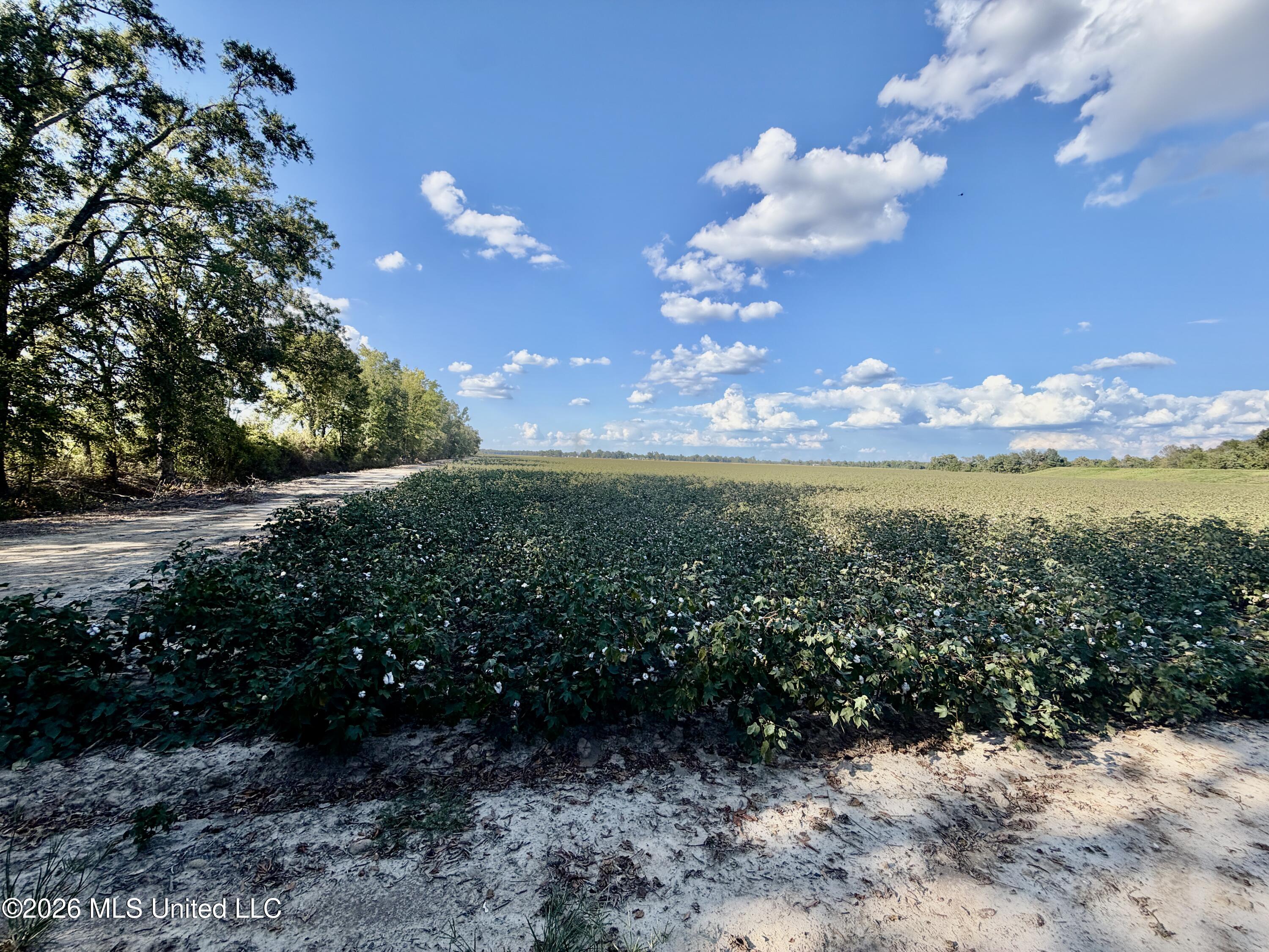 268 Warner Road Lambert, MS 38643 - Photo 7 of 8 IMG_5358