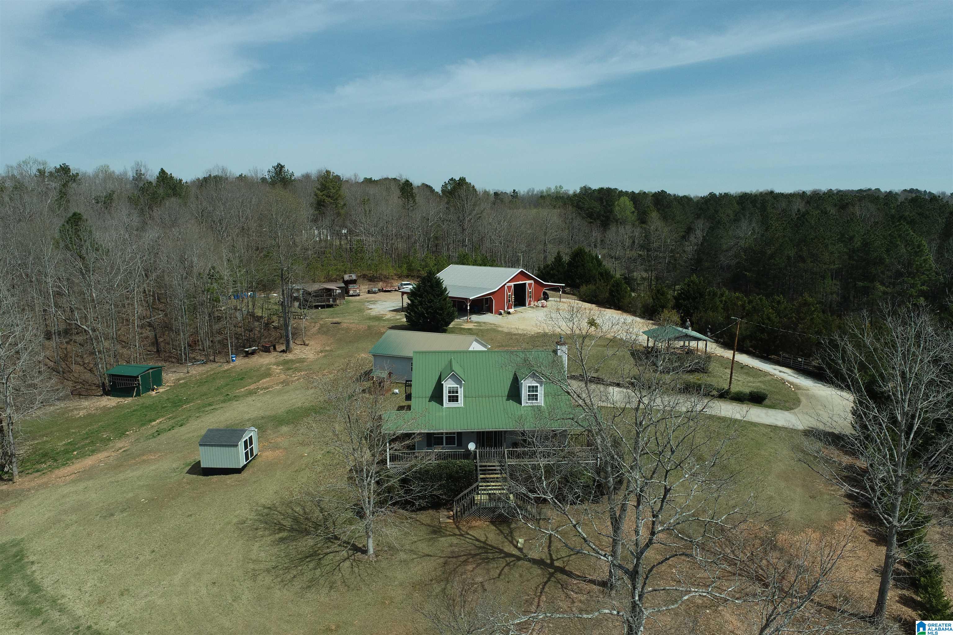 2495 County Road 46 Wedowee, AL 36278 - Photo 7 of 50