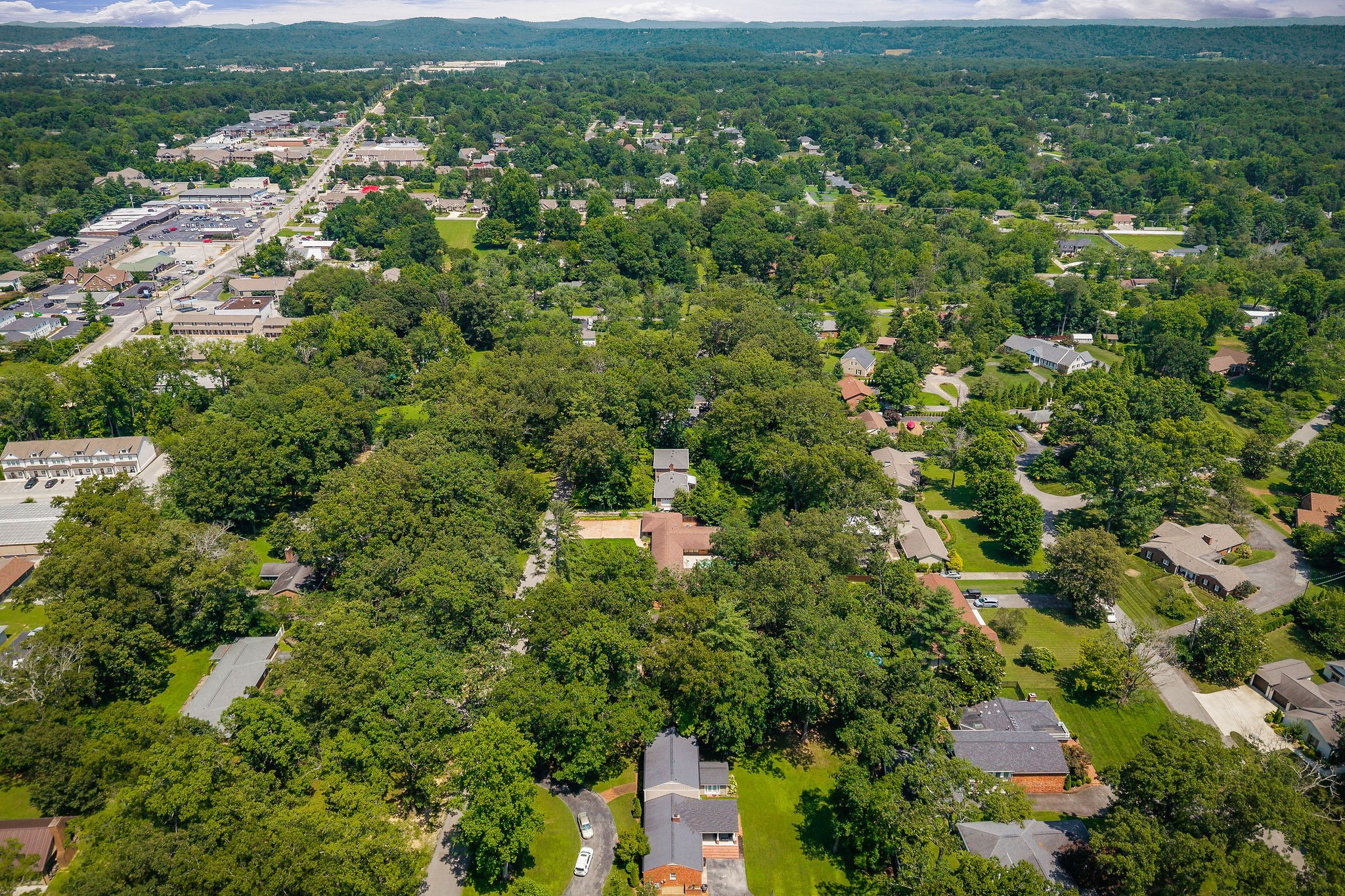 727 Timber Lane Cookeville, TN 38501 - Photo 66 of 68 an aerial view of residential houses with outdoor and green space