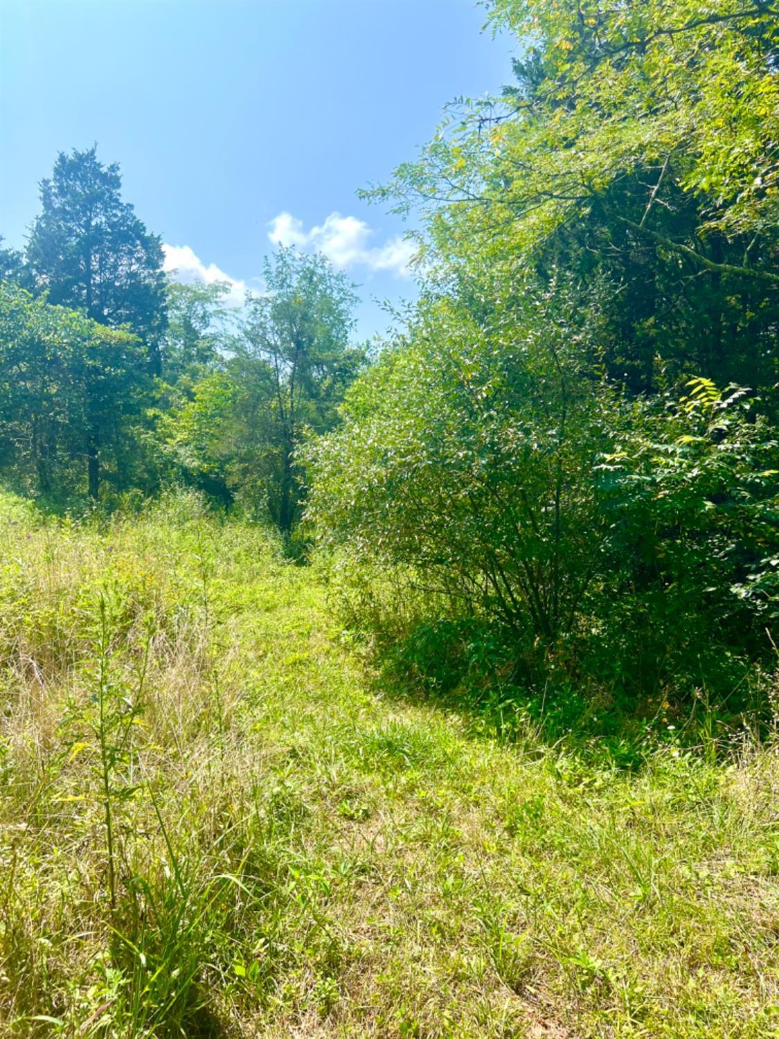 0 Brier Ridge Road West Union, OH 45693 - Photo 78 of 98
