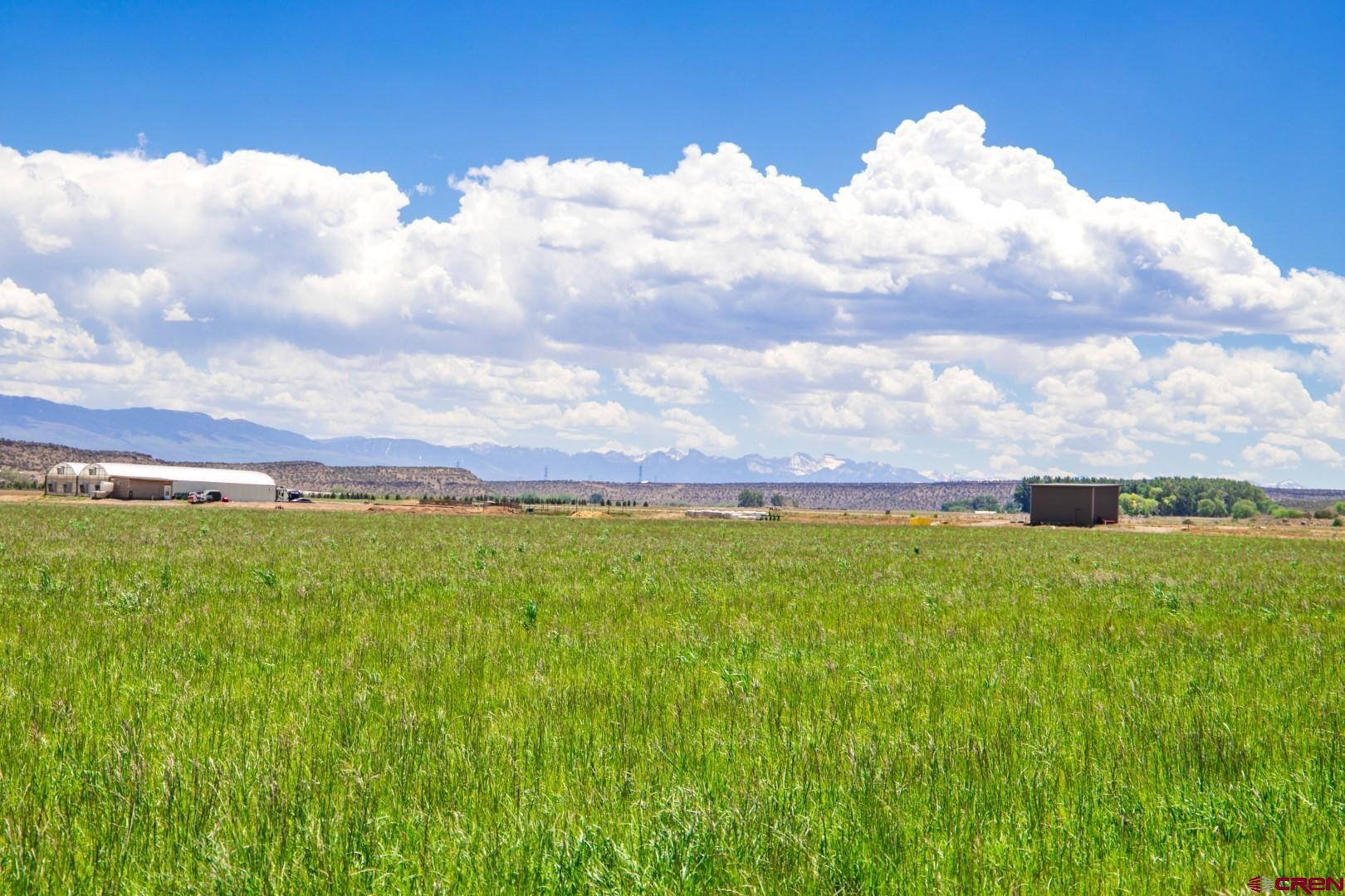 Lot 2 5790th Road Montrose, CO 81403 - Photo 12 of 16 a view of a big yard with swimming pool and green space