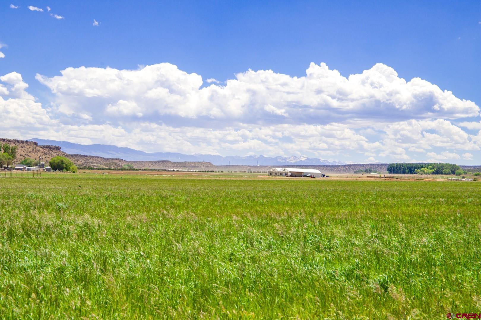 Lot 2 5790th Road Montrose, CO 81403 - Photo 15 of 16 a view of an ocean and beach