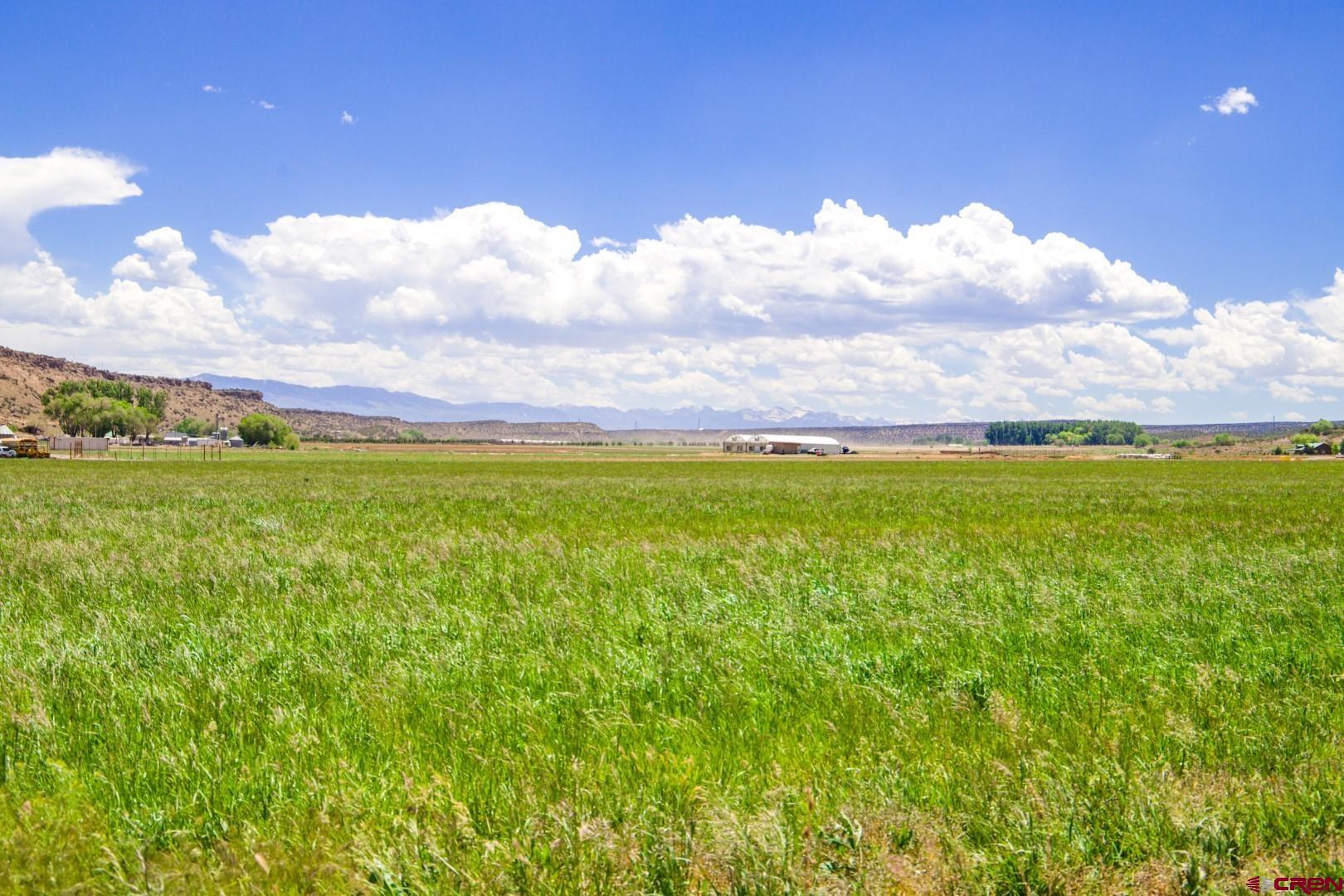Lot 2 5790th Road Montrose, CO 81403 - Photo 16 of 16 a view of a large pool with an outdoor space