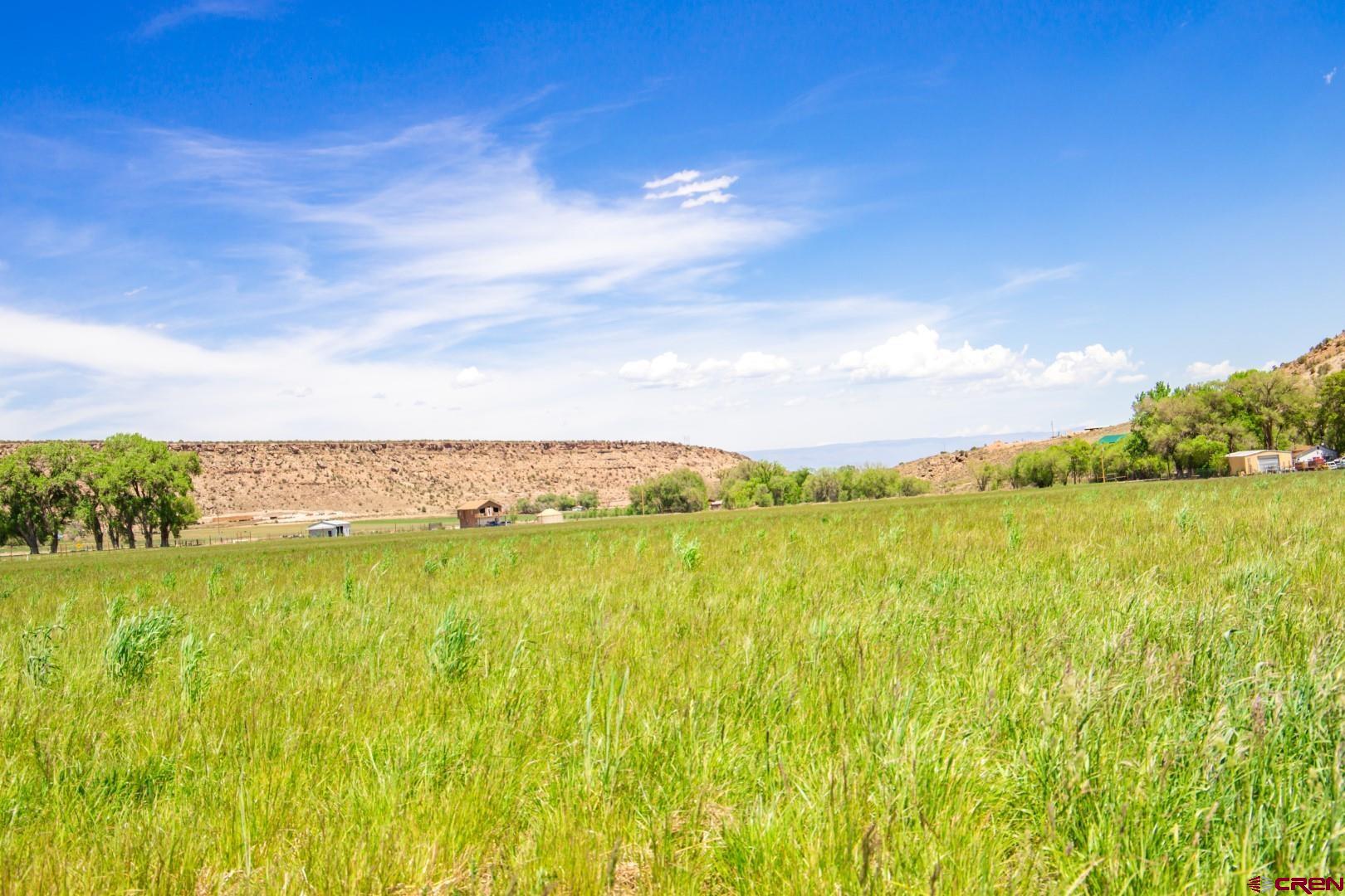 Lot 2 5790th Road Montrose, CO 81403 - Photo 9 of 16 a view of an ocean from a yard