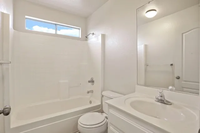 a view of backyard with tree