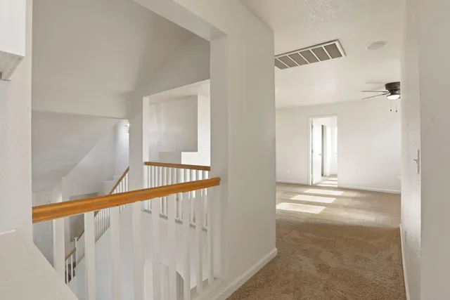 a view of a white house with a large tree