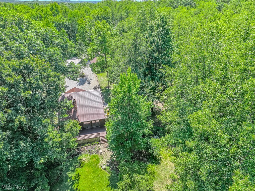 6360 Conley Road Painesville, OH 44077 - Photo 48 of 50 Gallery Image 48