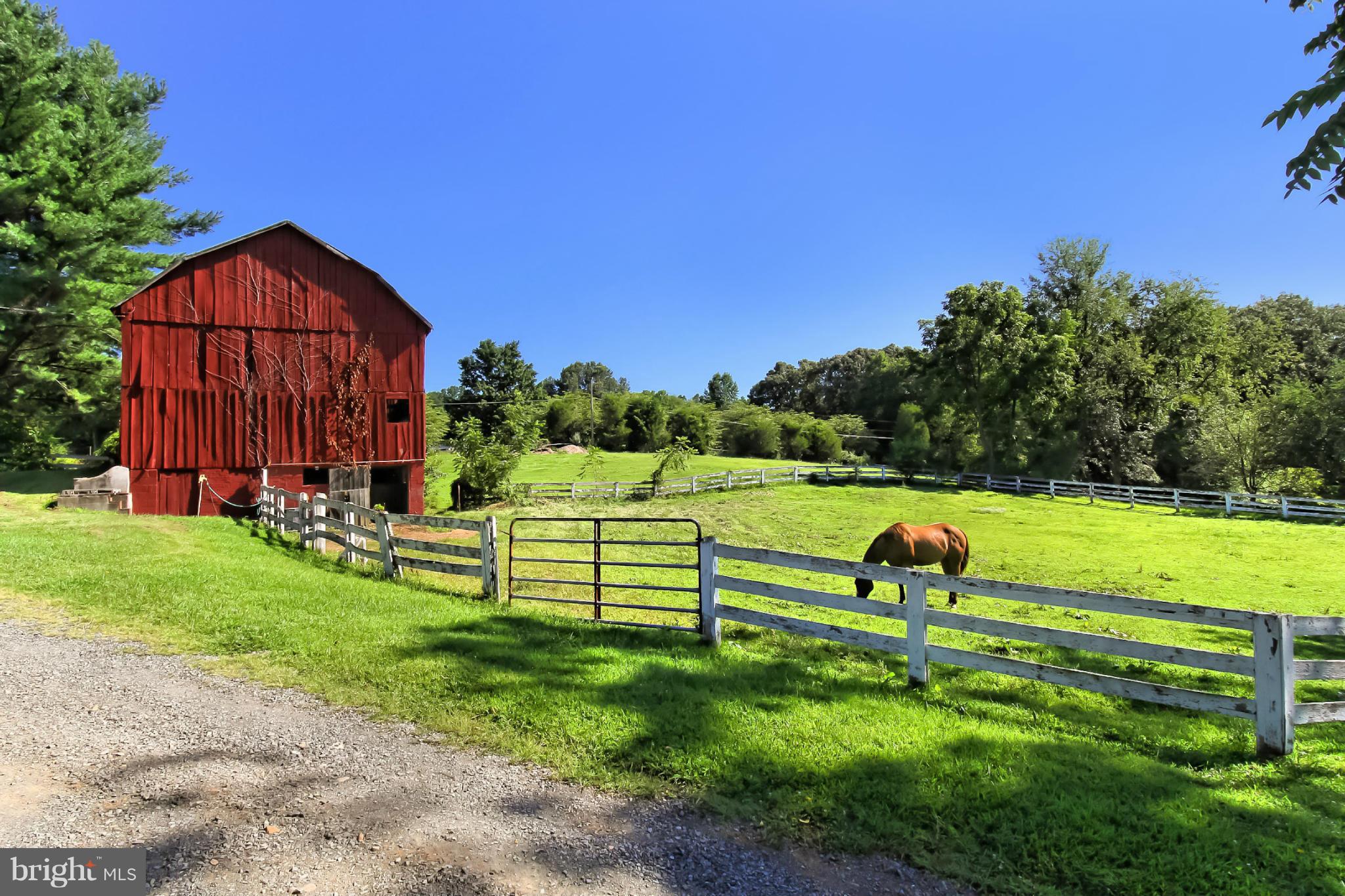 6700 Newman Road Clifton, VA 20124 - Photo 24 of 30 Barn and a Happy Resident of the Horse Farm