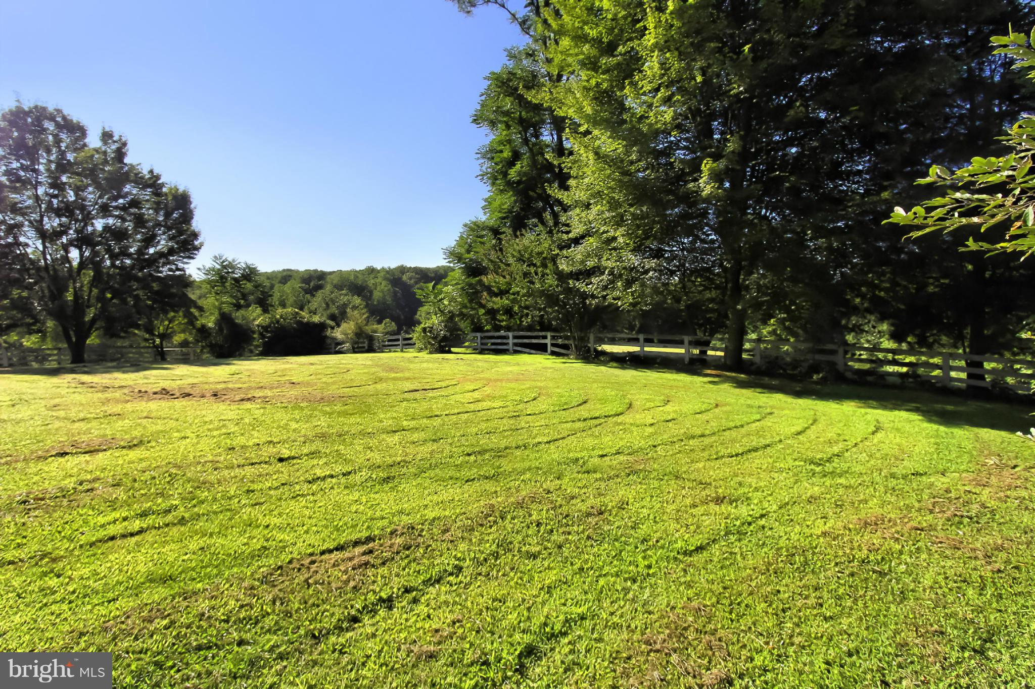 6700 Newman Road Clifton, VA 20124 - Photo 25 of 30 Sunny Fields and Pastures
