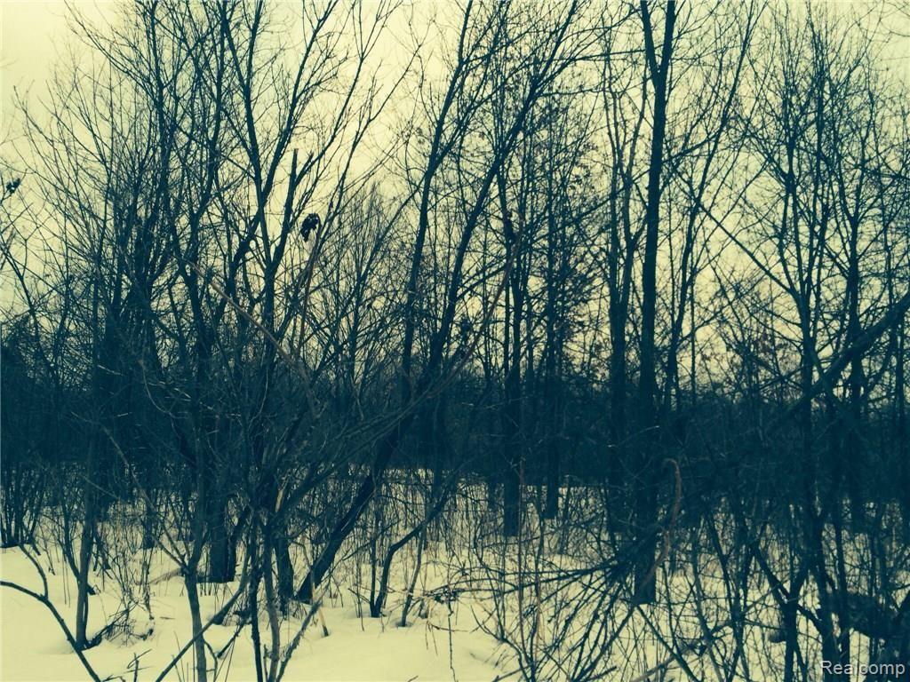 0 Gregory Road Lake Orion, MI 48359 - Photo 17 of 19 image.jpg
