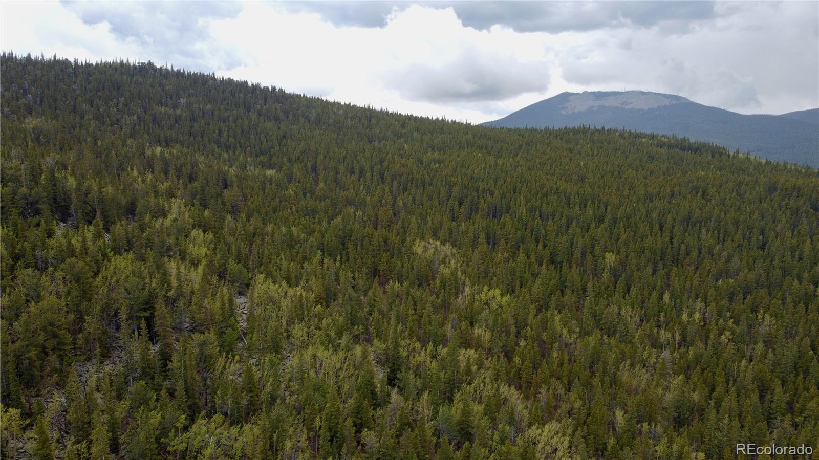 0 Hidden Wilderness Road Evergreen, CO 80439 - Photo 7 of 29