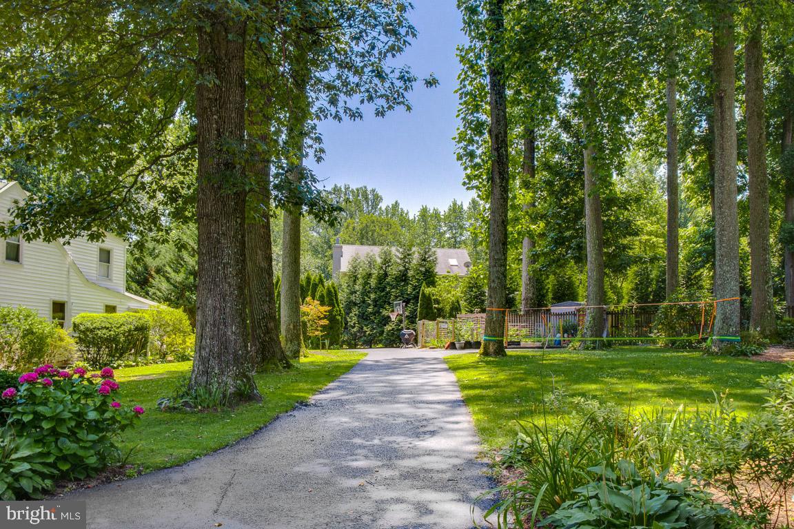 948 Diggs Road Crownsville, MD 21032 - Photo 3 of 49 -- dotted with mature trees!