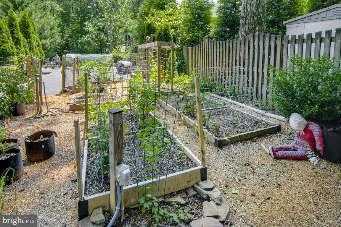 948 Diggs Road Crownsville, MD 21032 - Photo 35 of 49 indulge your green thumb,