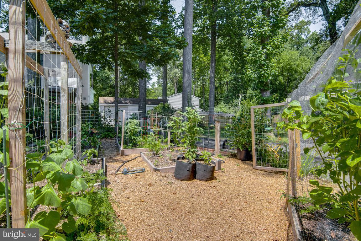 948 Diggs Road Crownsville, MD 21032 - Photo 36 of 49 or develop new gardening skills!
