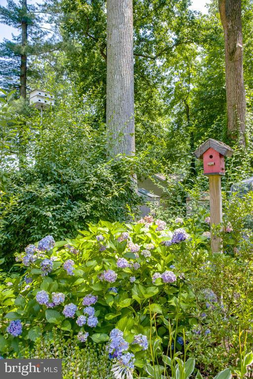 948 Diggs Road Crownsville, MD 21032 - Photo 47 of 49 colorful blooms enhance the yard