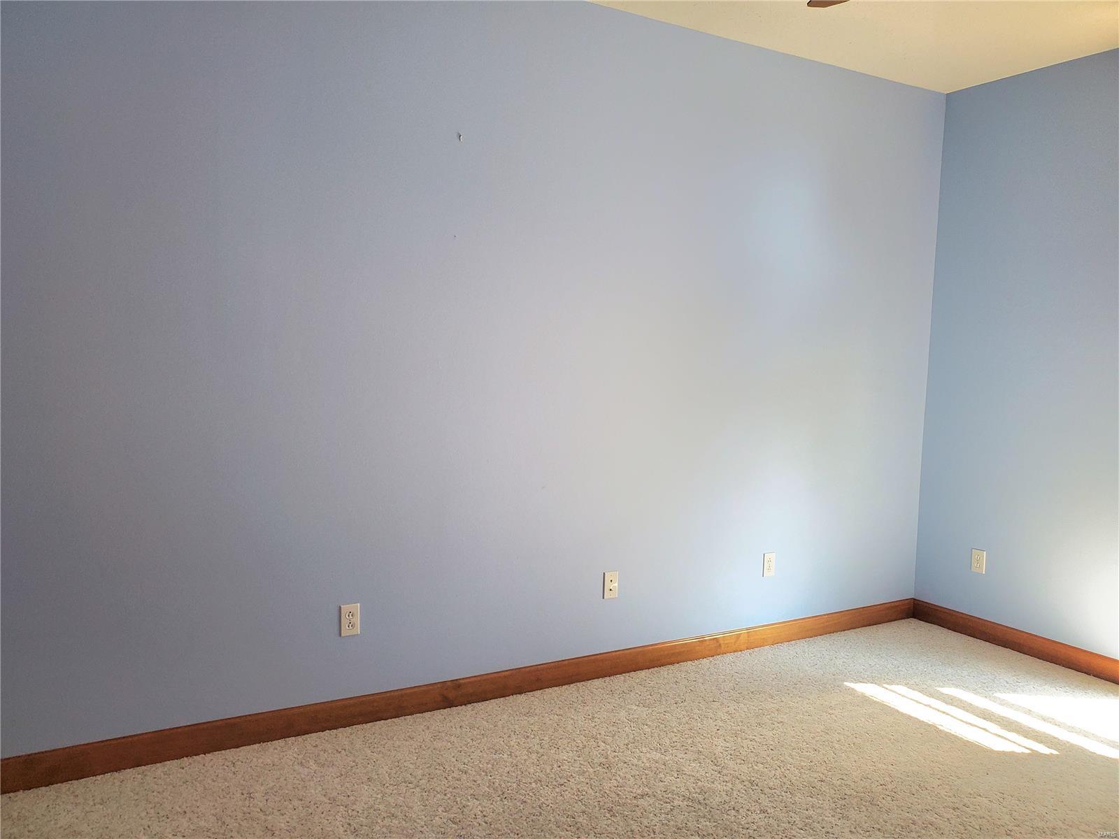 8095 Hill Road St. Rose, IL 62230 - Photo 40 of 58