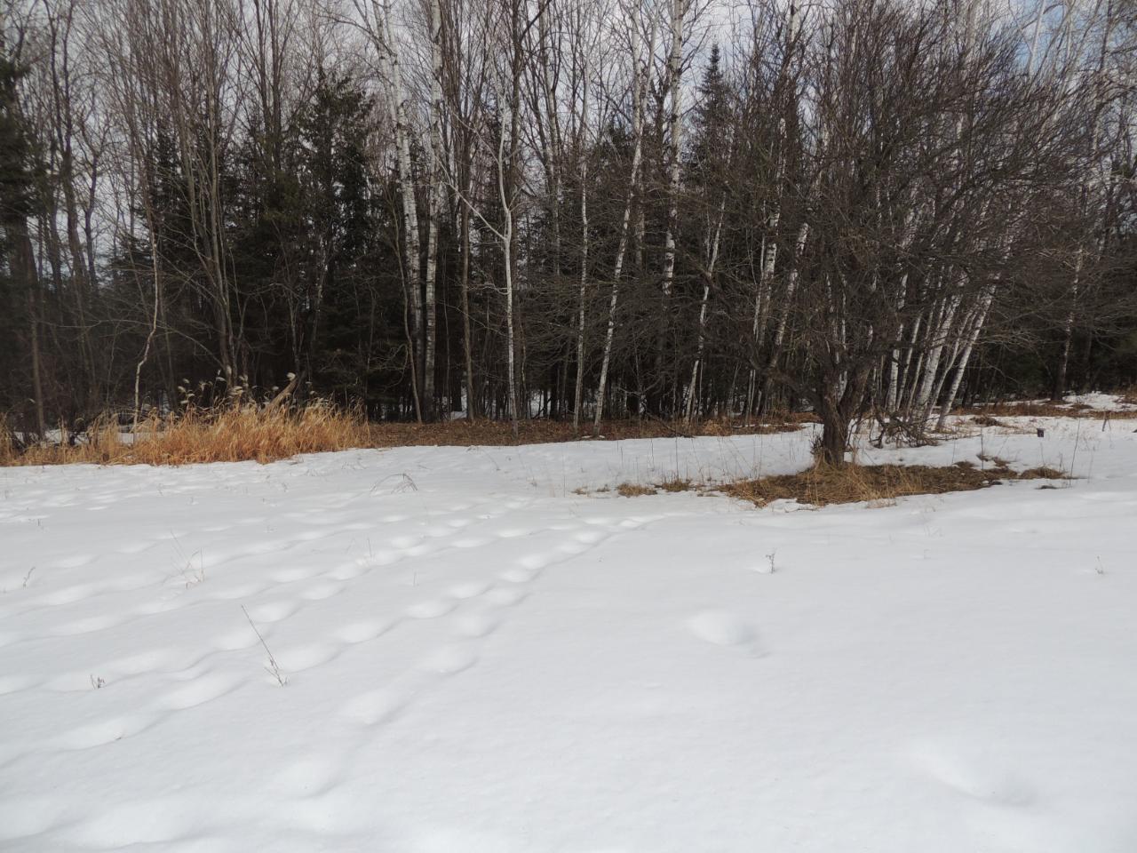 W7268 Riverside Road Antigo, WI 54409 - Photo 11 of 22 Gallery Image 11