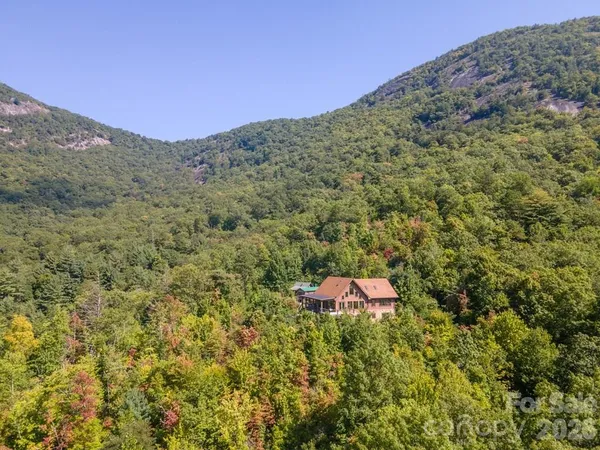a view of a tree in a field