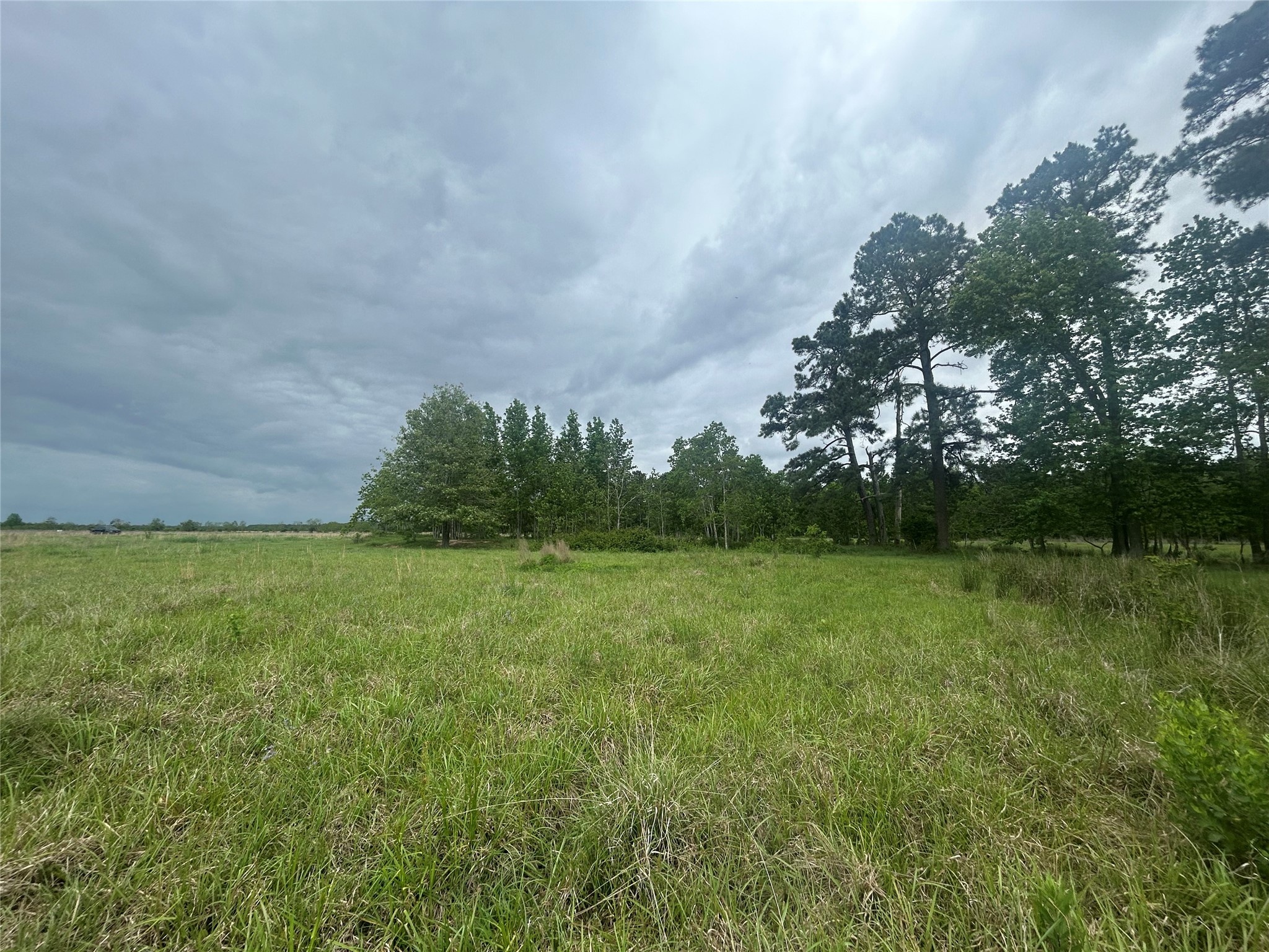 Lot 1 Minnie West Road Hull, TX 77564 - Photo 13 of 16 a view of field with green space