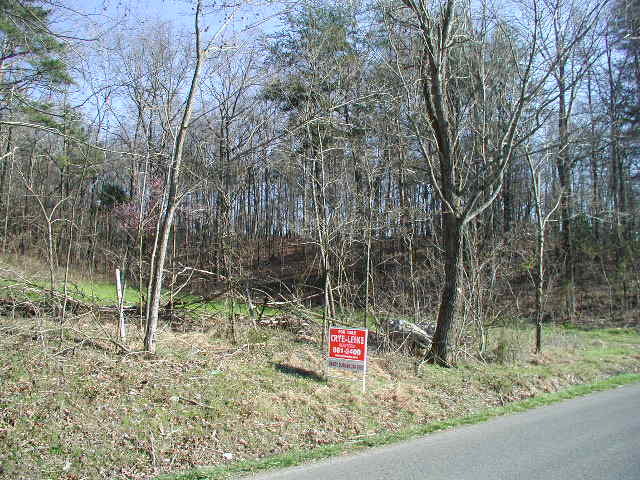 Primary Photo