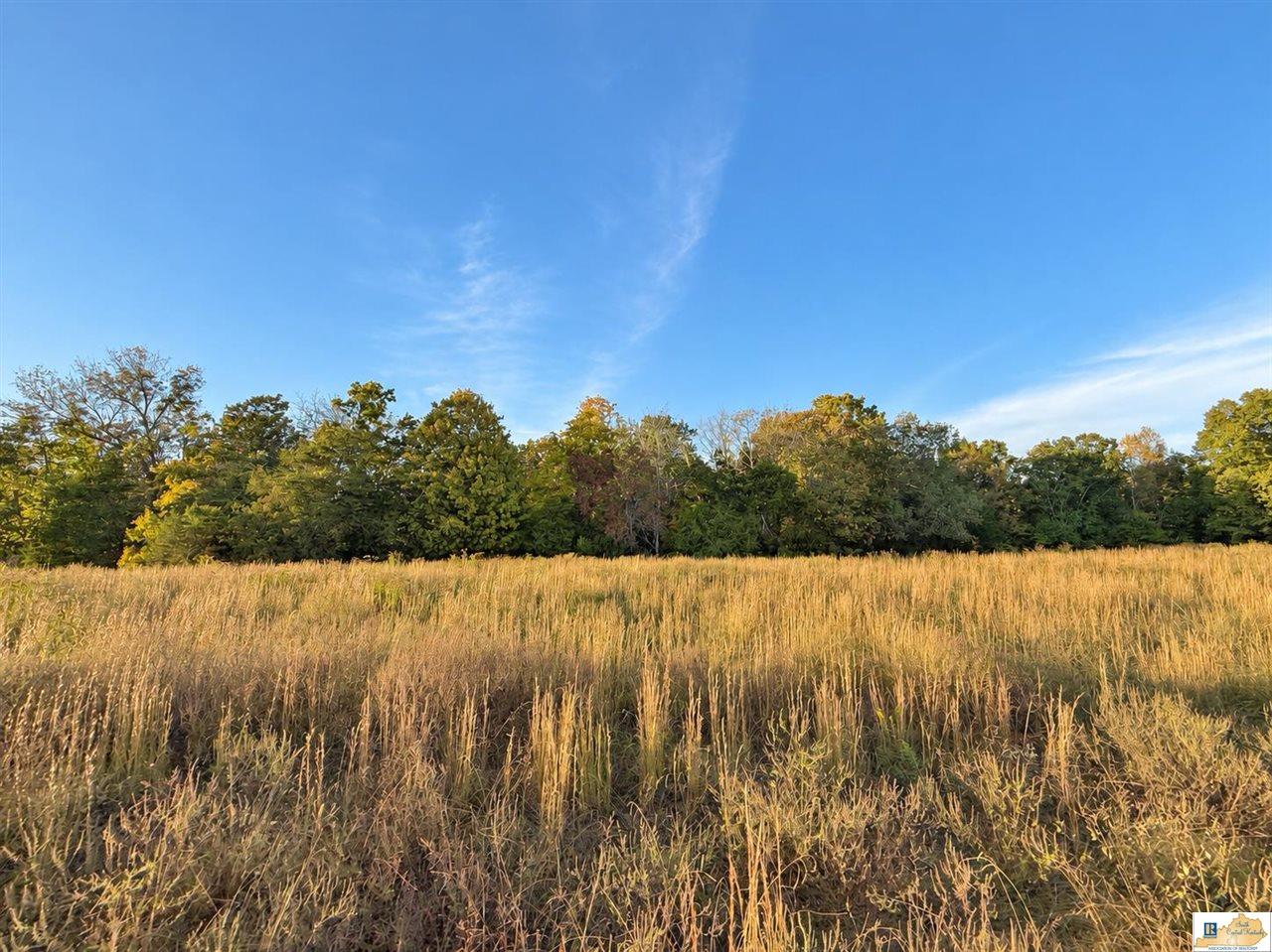 0 Stanley Syra Road Edmonton, KY 42129 - Photo 9 of 28 Gallery Image 9