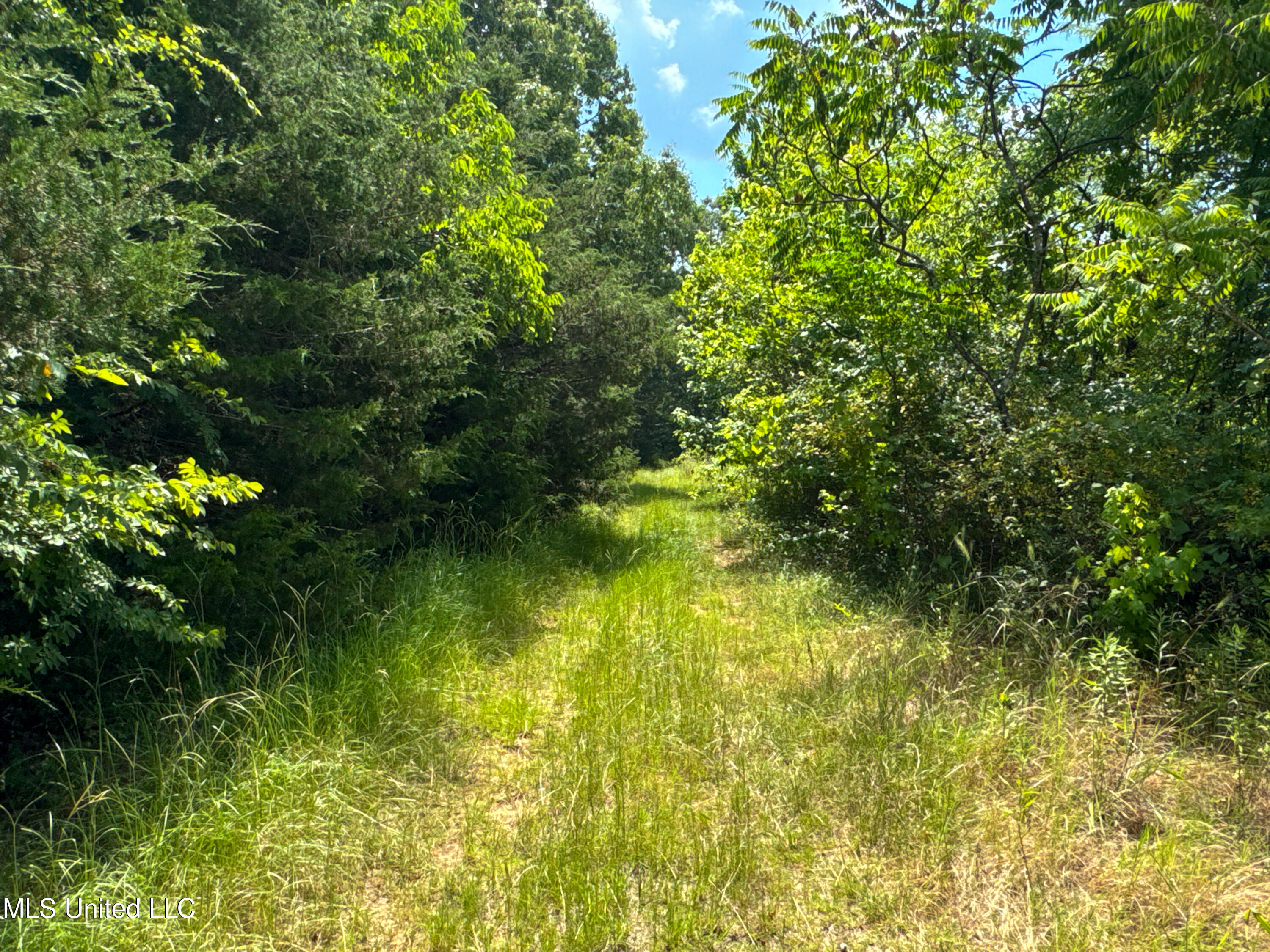 844 Harmon Road Batesville, MS 38606 - Photo 11 of 24 10Trails
