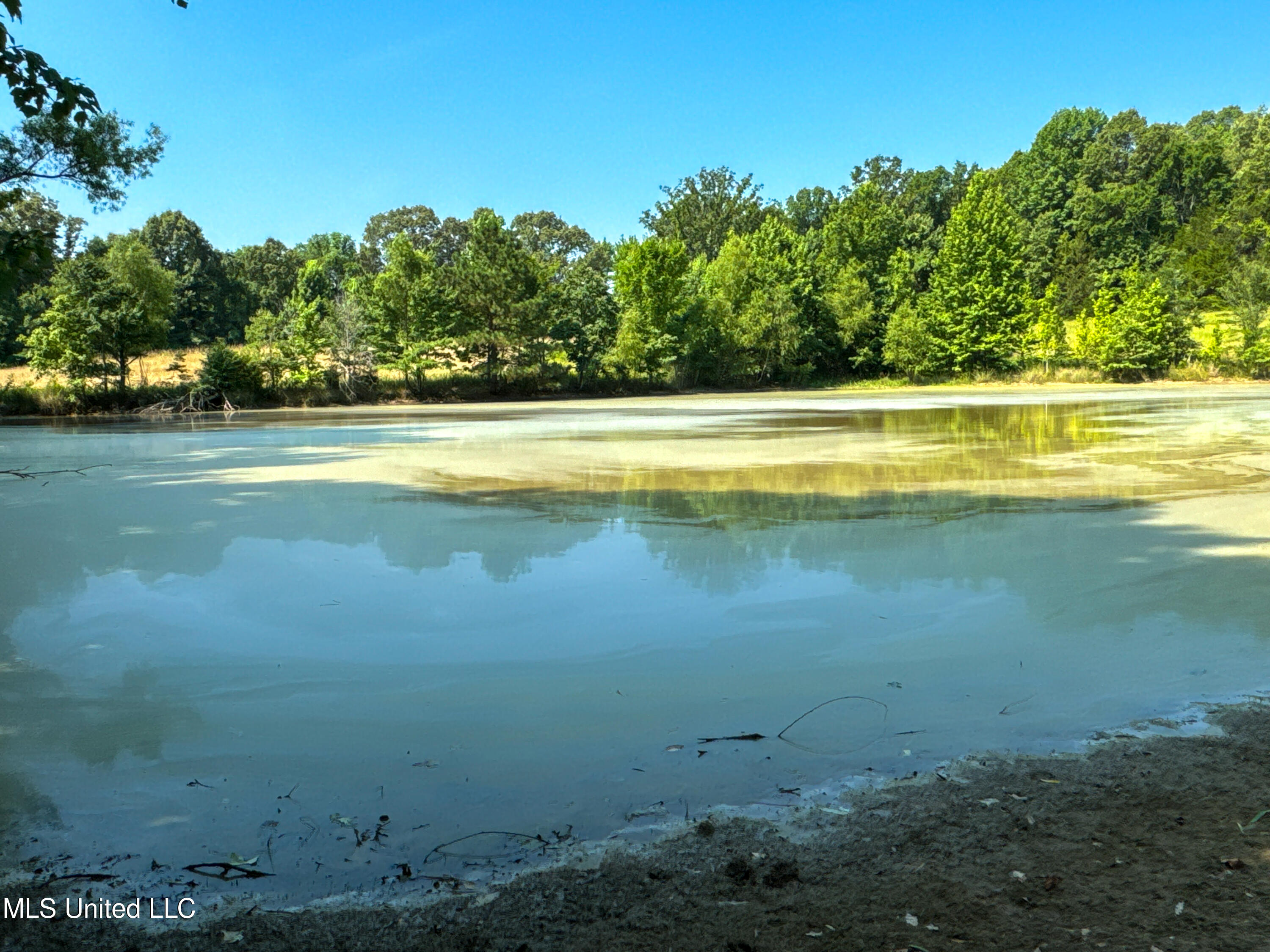 844 Harmon Road Batesville, MS 38606 - Photo 12 of 24 12Back Pond