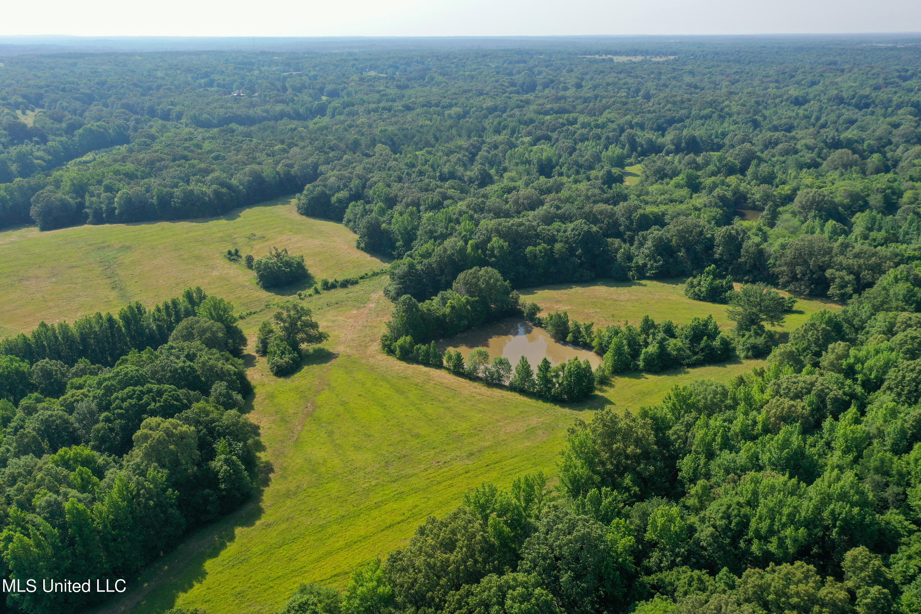 844 Harmon Road Batesville, MS 38606 - Photo 13 of 24 Back Pond (1)