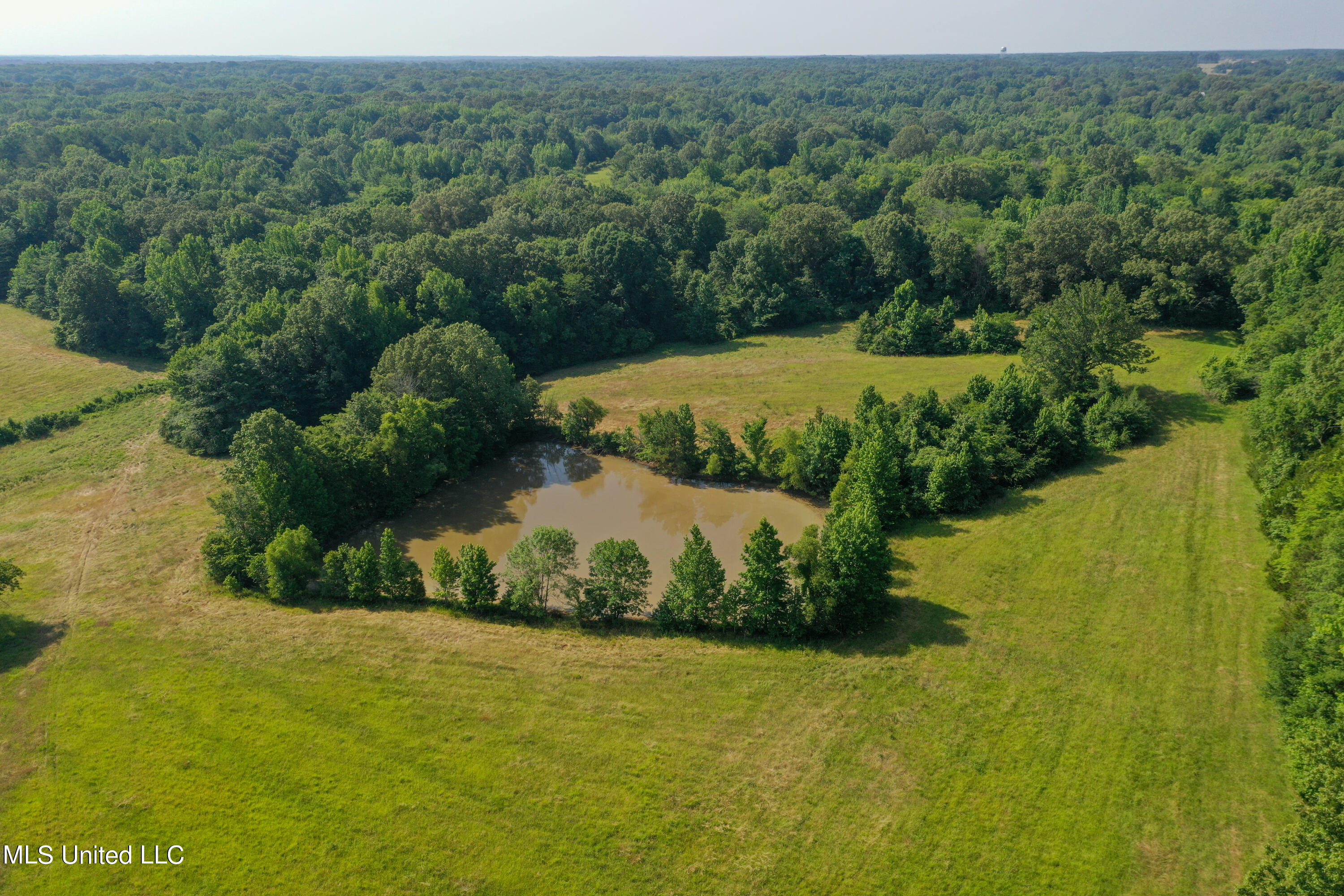 844 Harmon Road Batesville, MS 38606 - Photo 14 of 24 Back Pond (2)