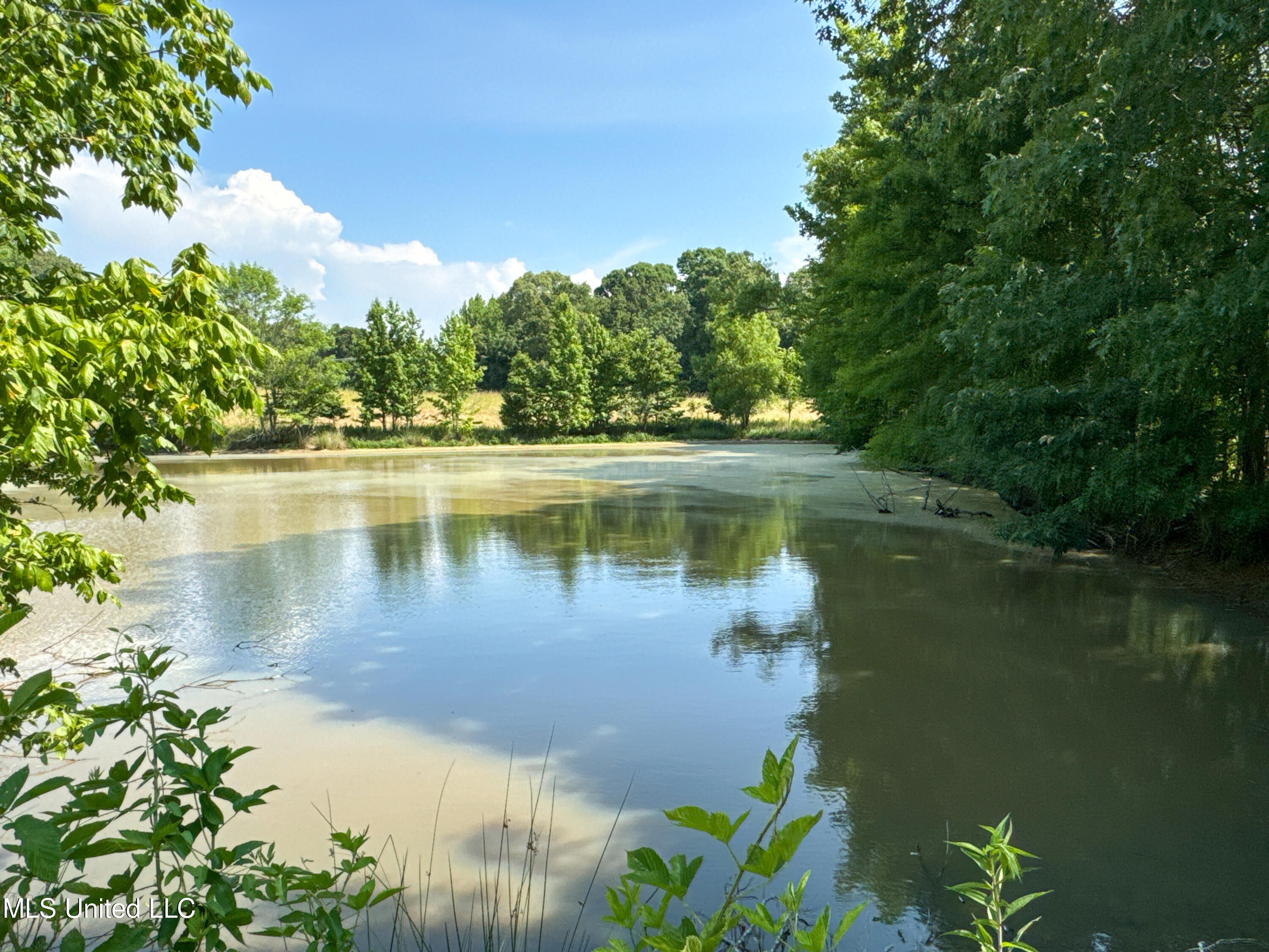 844 Harmon Road Batesville, MS 38606 - Photo 15 of 24 Back Pond (4)