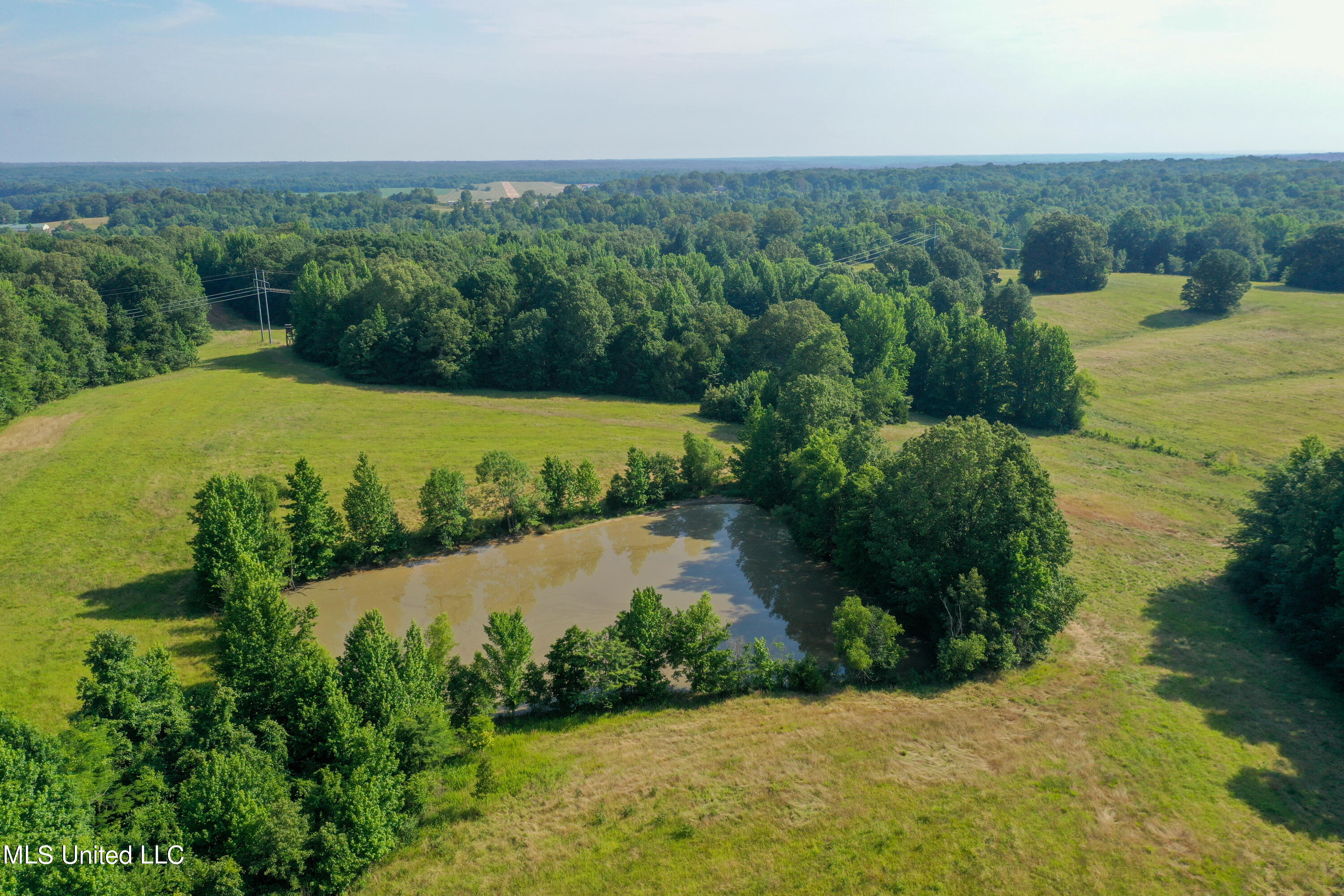 844 Harmon Road Batesville, MS 38606 - Photo 16 of 24 Back Pond