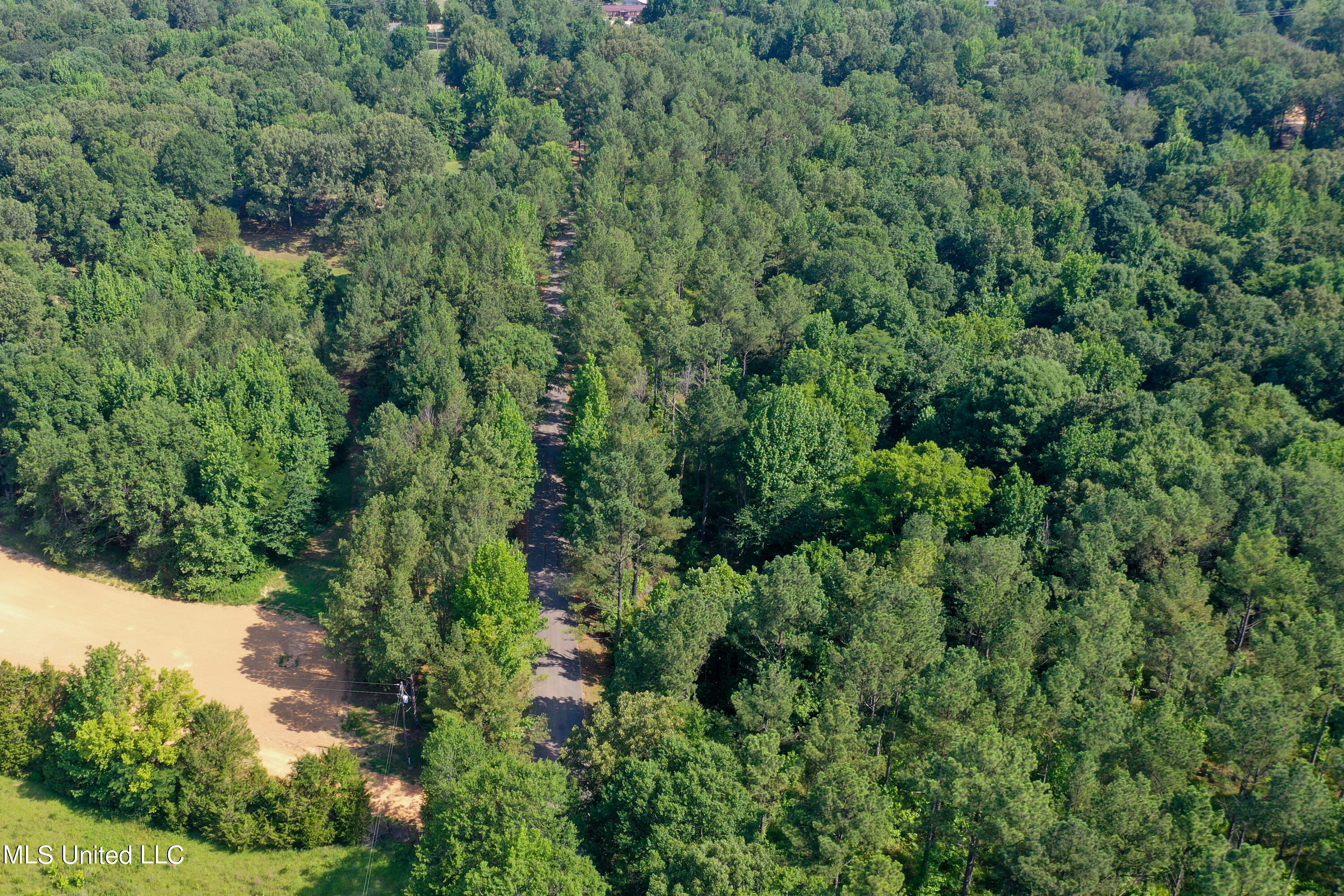 844 Harmon Road Batesville, MS 38606 - Photo 17 of 24 Forest (2)