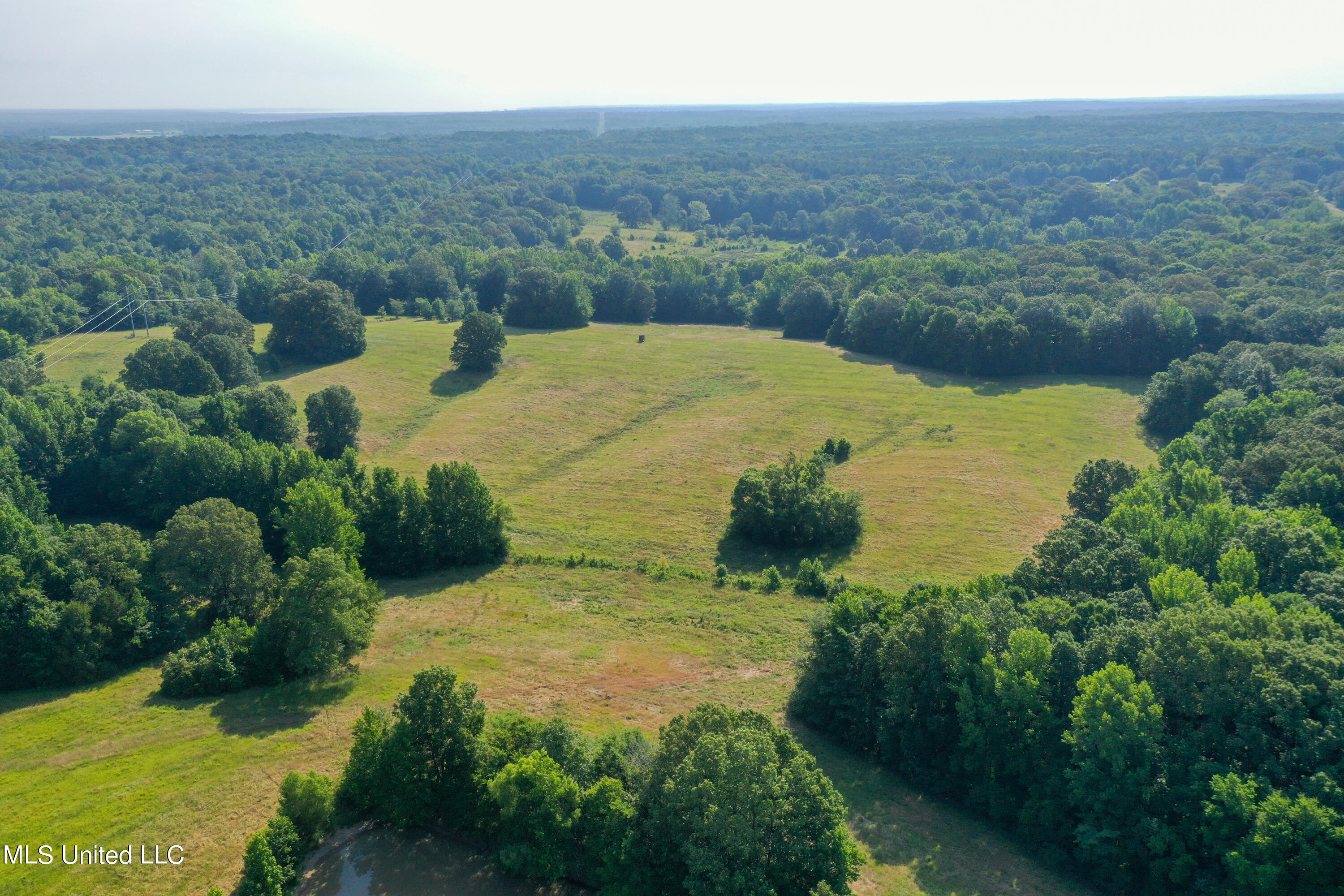 844 Harmon Road Batesville, MS 38606 - Photo 3 of 24 5Pasture