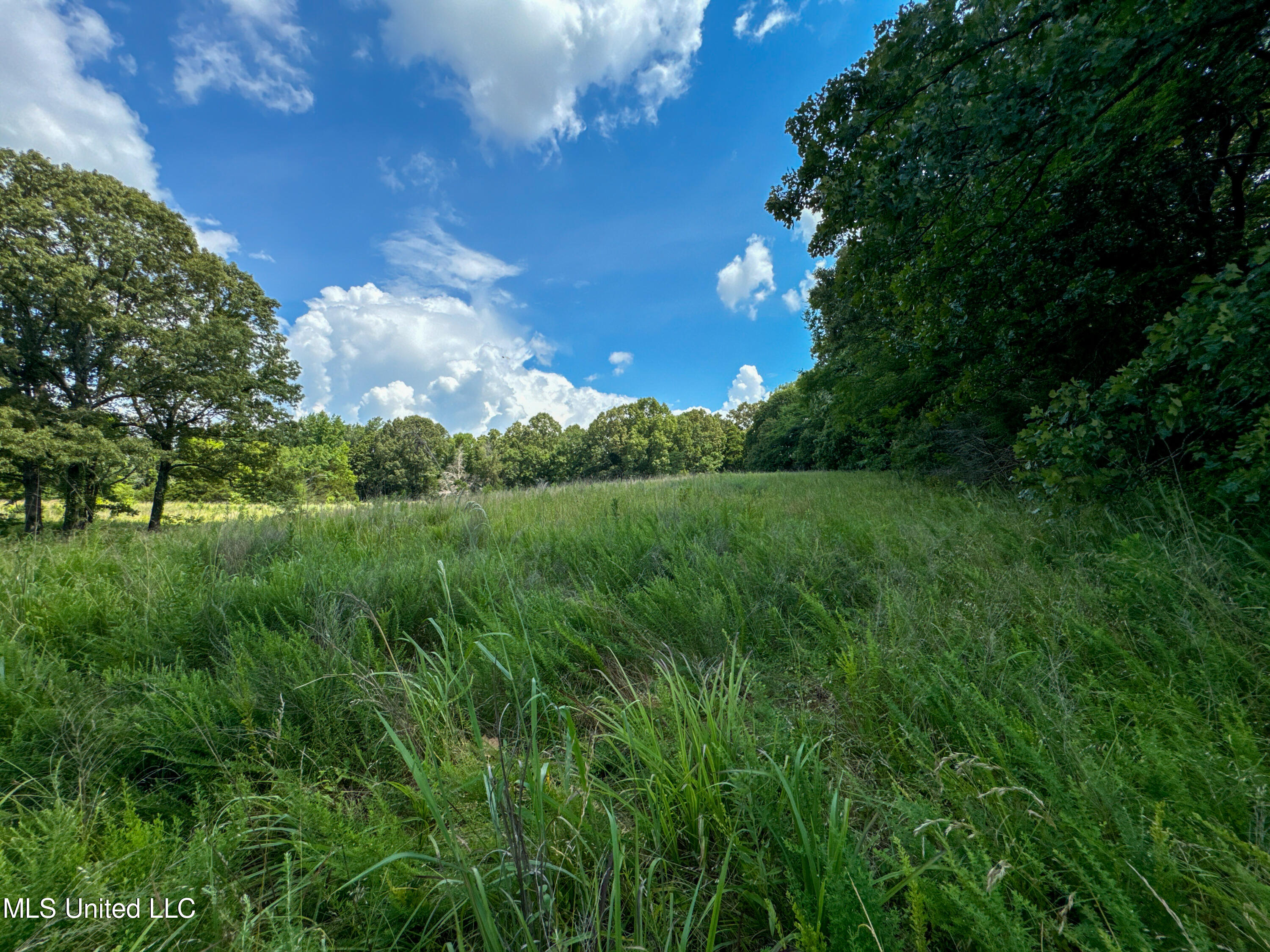 844 Harmon Road Batesville, MS 38606 - Photo 4 of 24 2Pasture