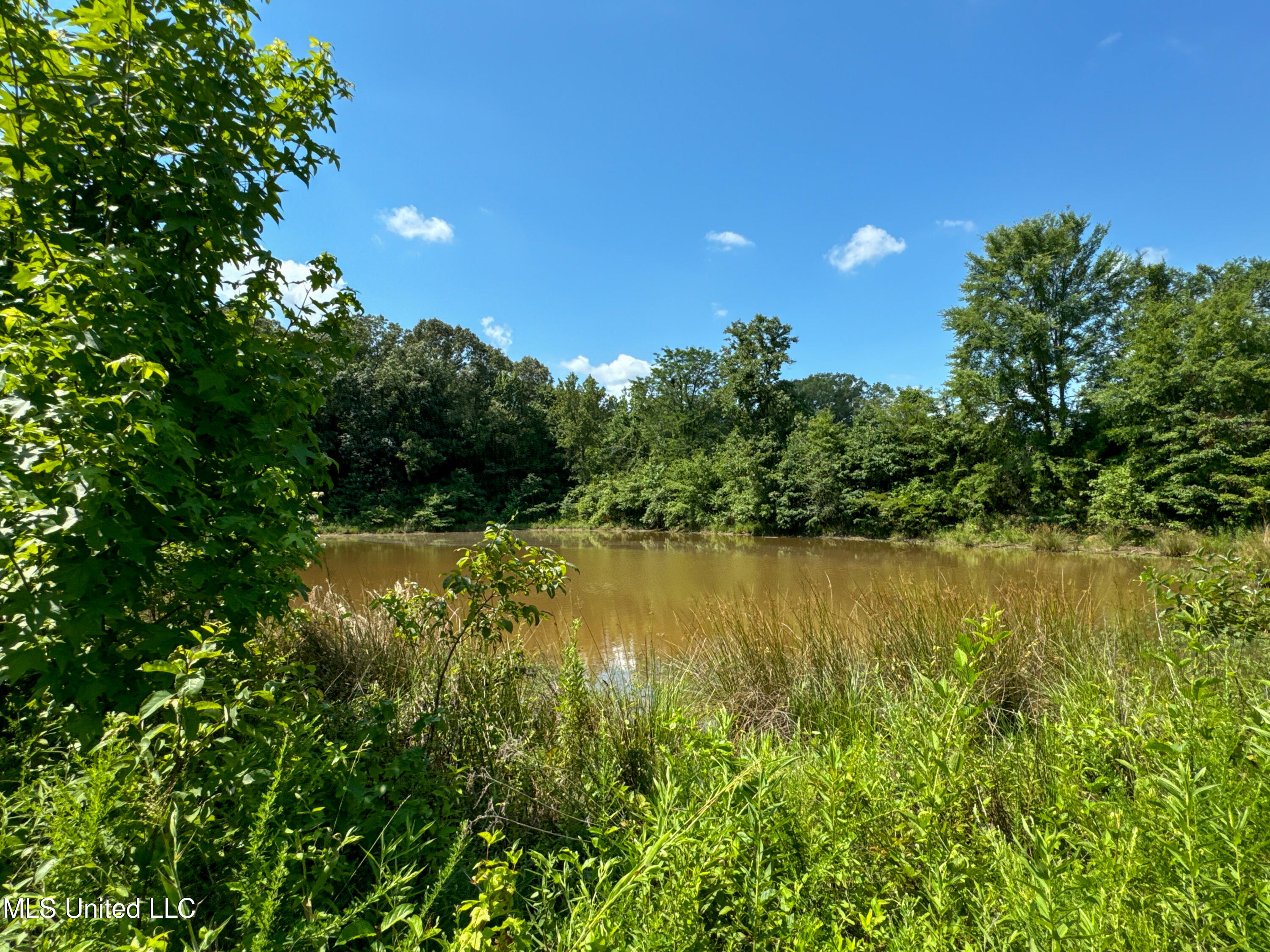 844 Harmon Road Batesville, MS 38606 - Photo 5 of 24 3Front Pond