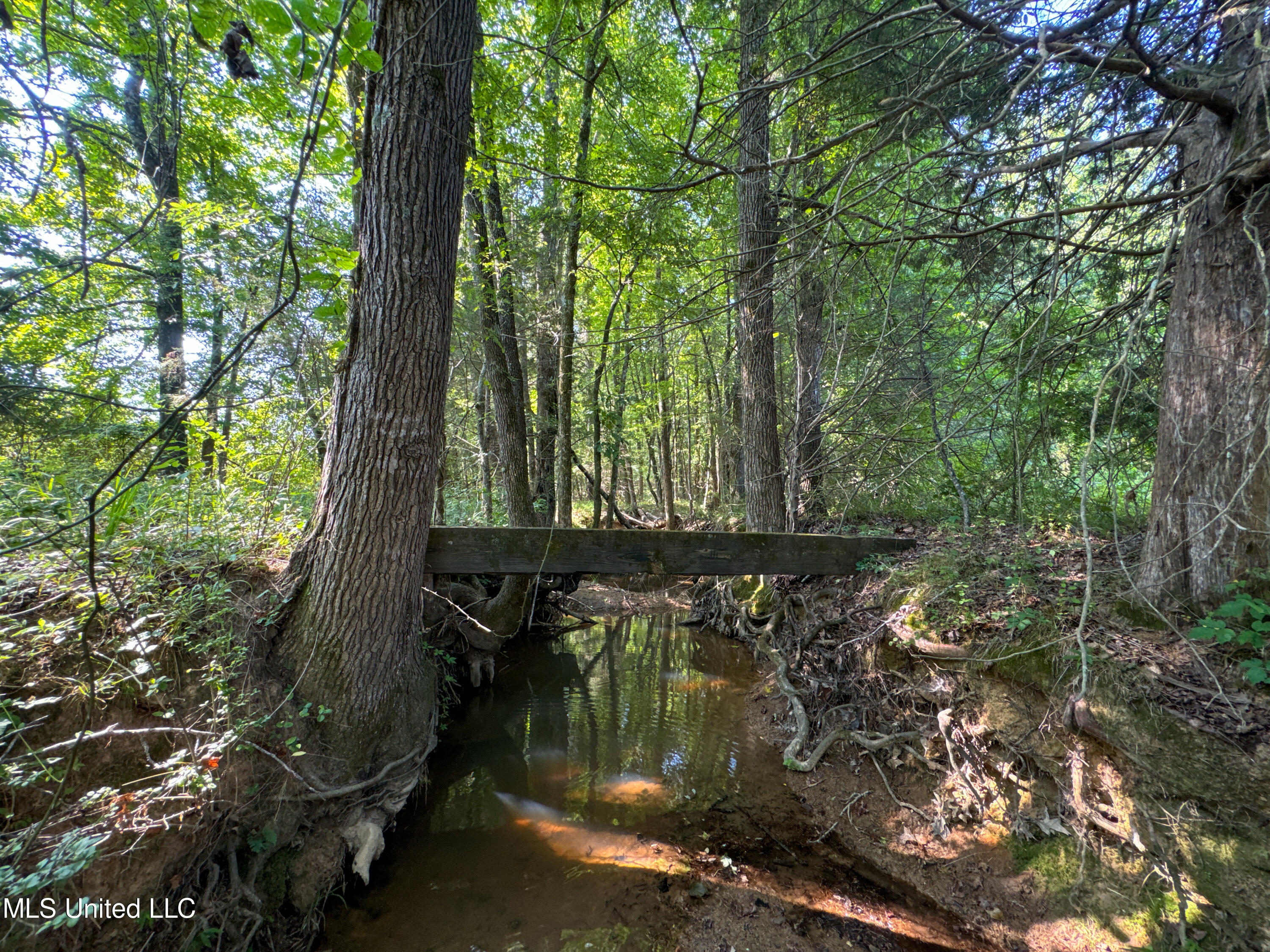 844 Harmon Road Batesville, MS 38606 - Photo 6 of 24 5Forest