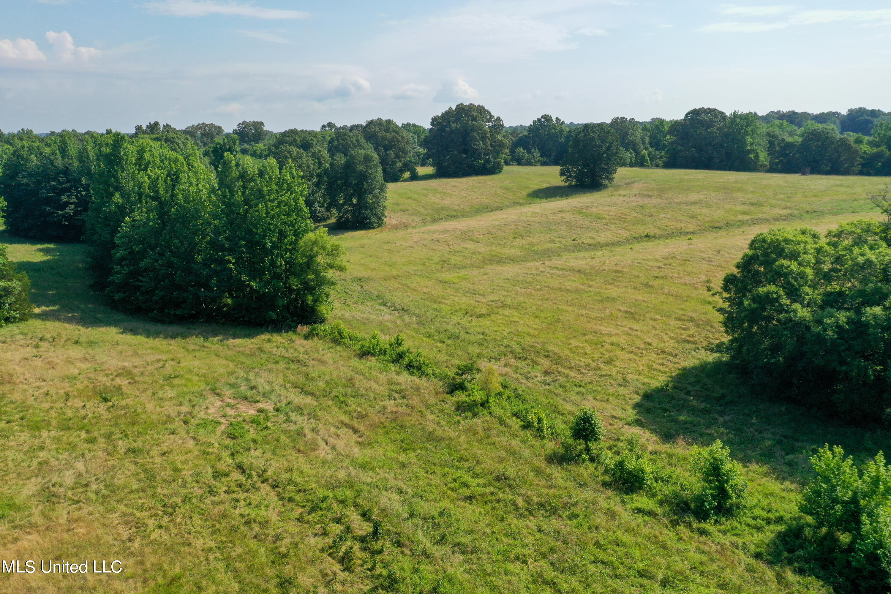 844 Harmon Road Batesville, MS 38606 - Photo 9 of 24 7Pasture