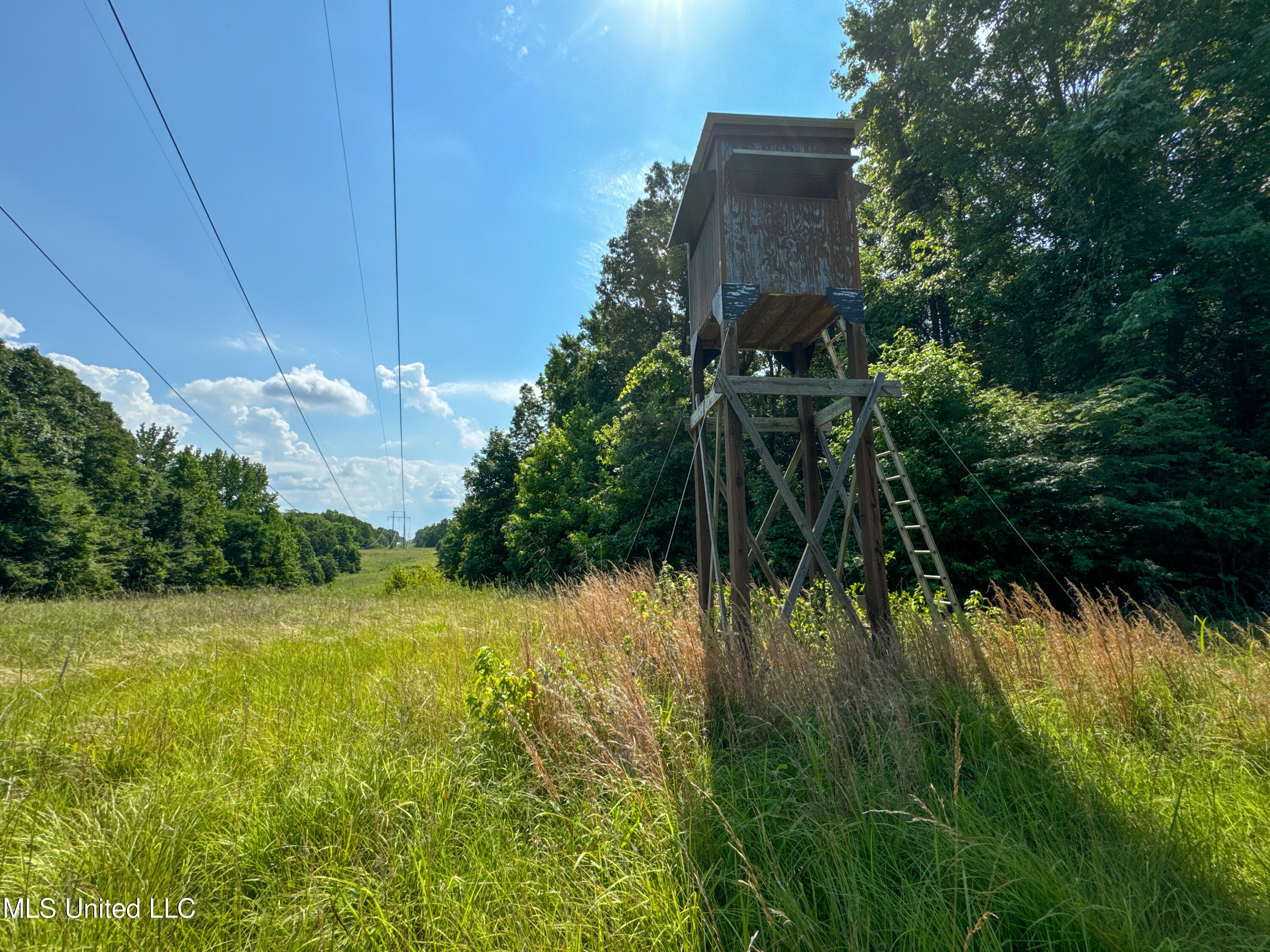 844 Harmon Road Batesville, MS 38606 - Photo 10 of 24 9Trails