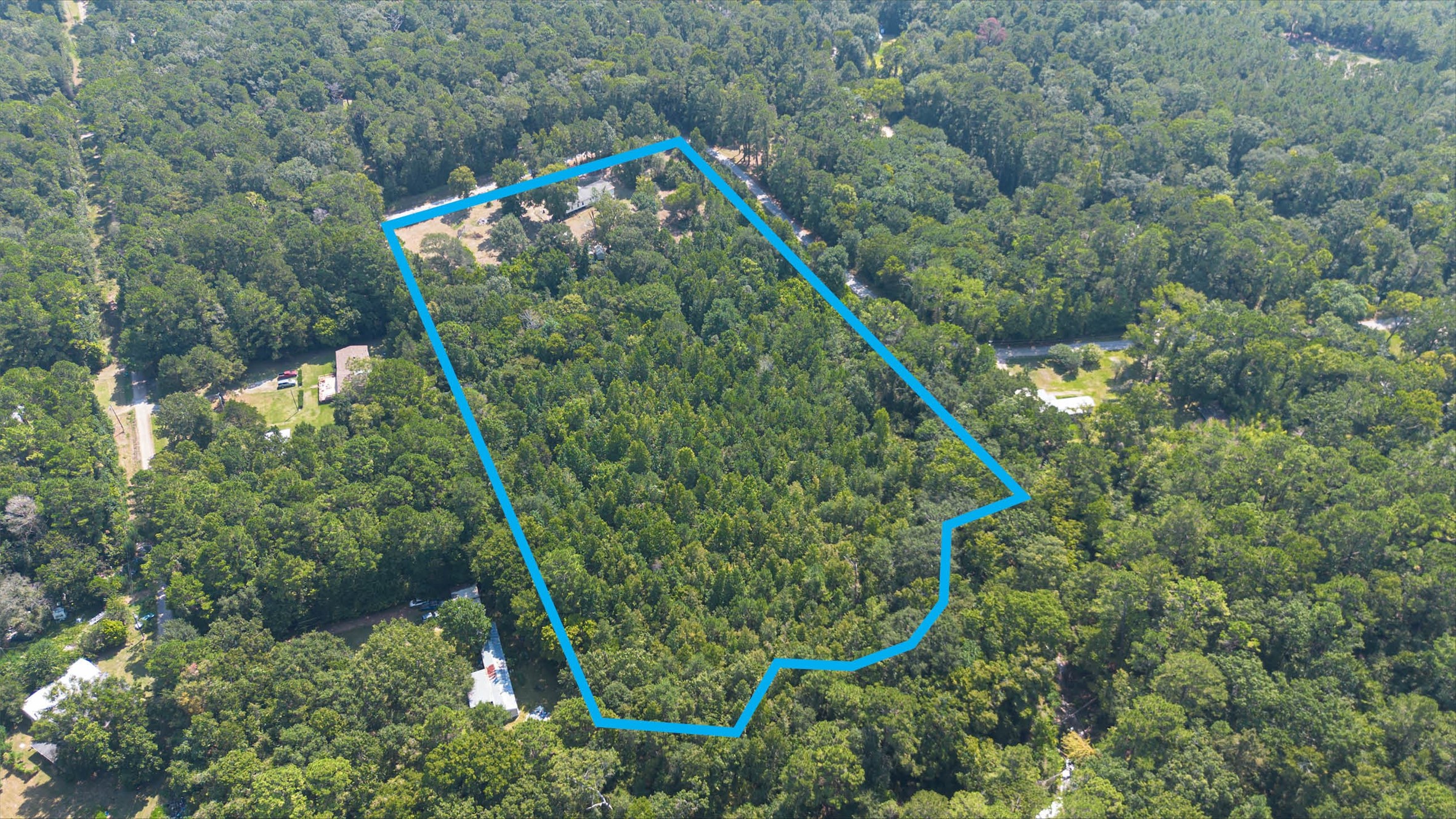 1031 Morris Creek Road Coldspring, TX 77331 - Photo 2 of 45