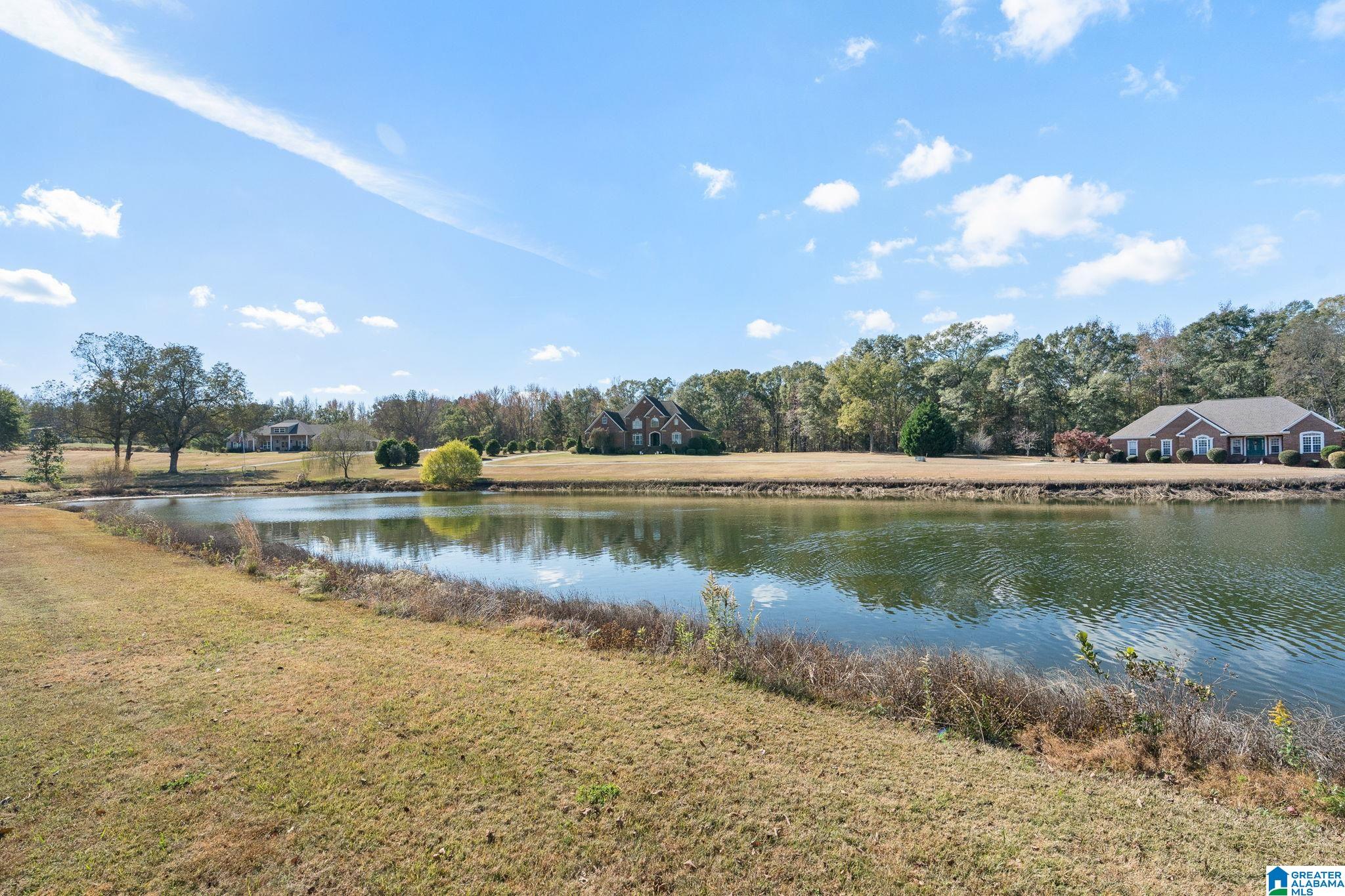 1650 Hinkle Road Clanton, AL 35045 - Photo 2 of 54