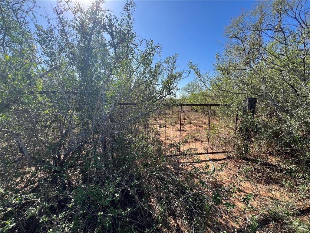 5212 Fm 1017 Delmita, TX 78536 - Photo 10 of 17